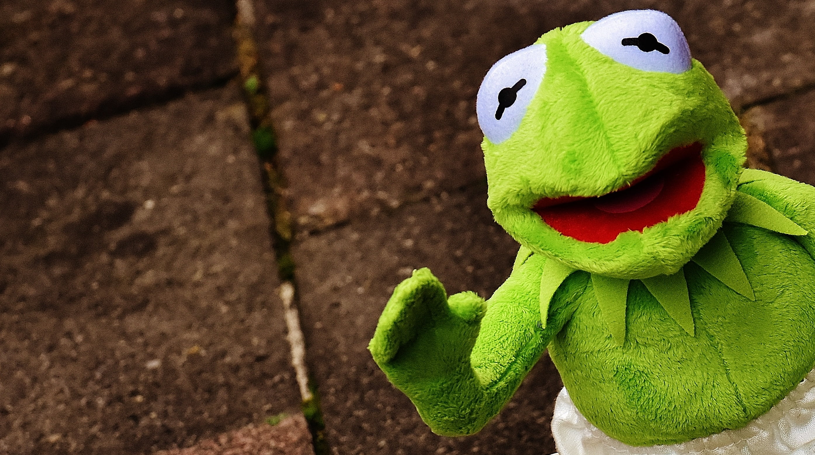 Free download | HD wallpaper: Kermett the Frog, kermit, funny, wave ...