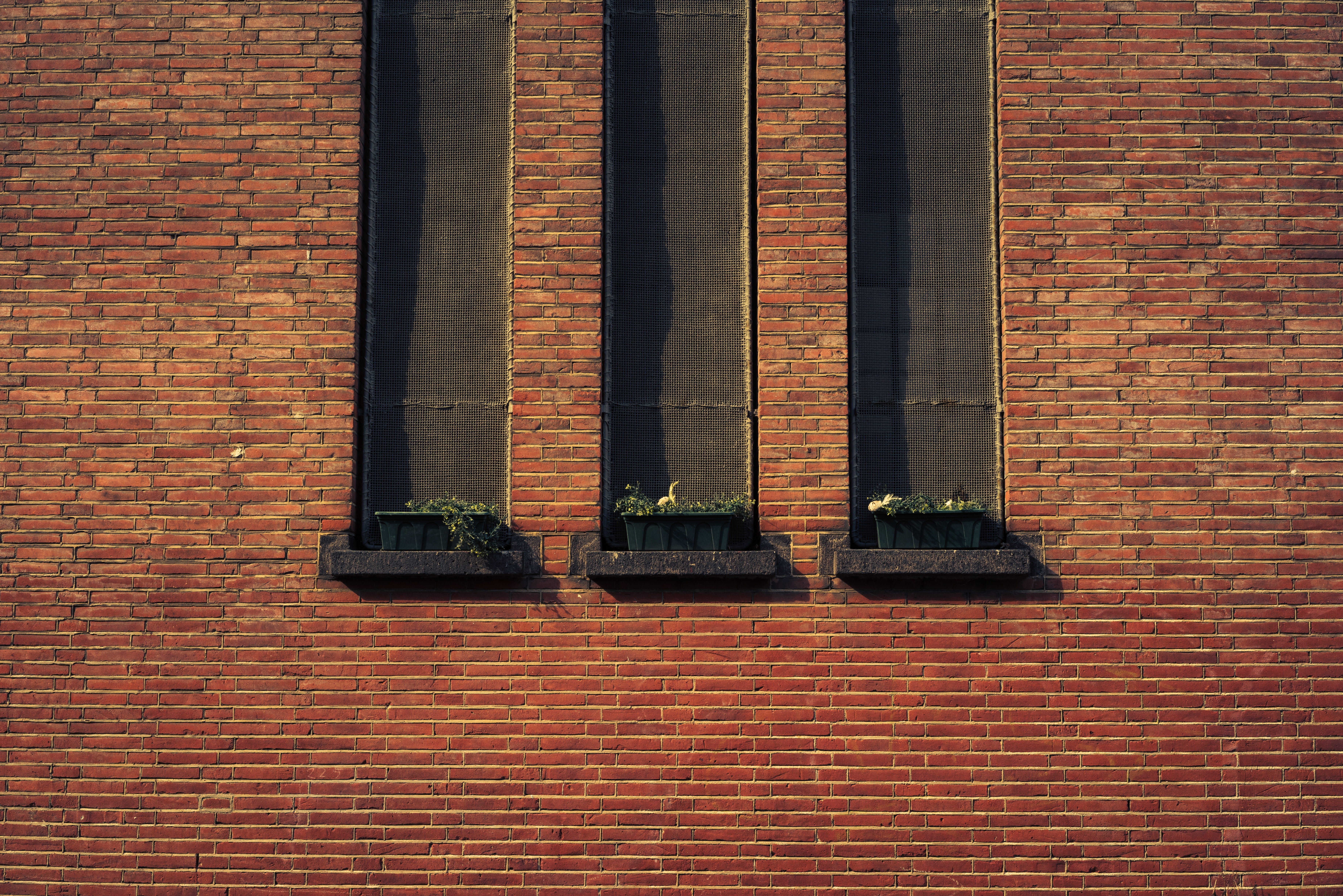 bricks, wall, brickwork, window, structure, brick wall, built structure