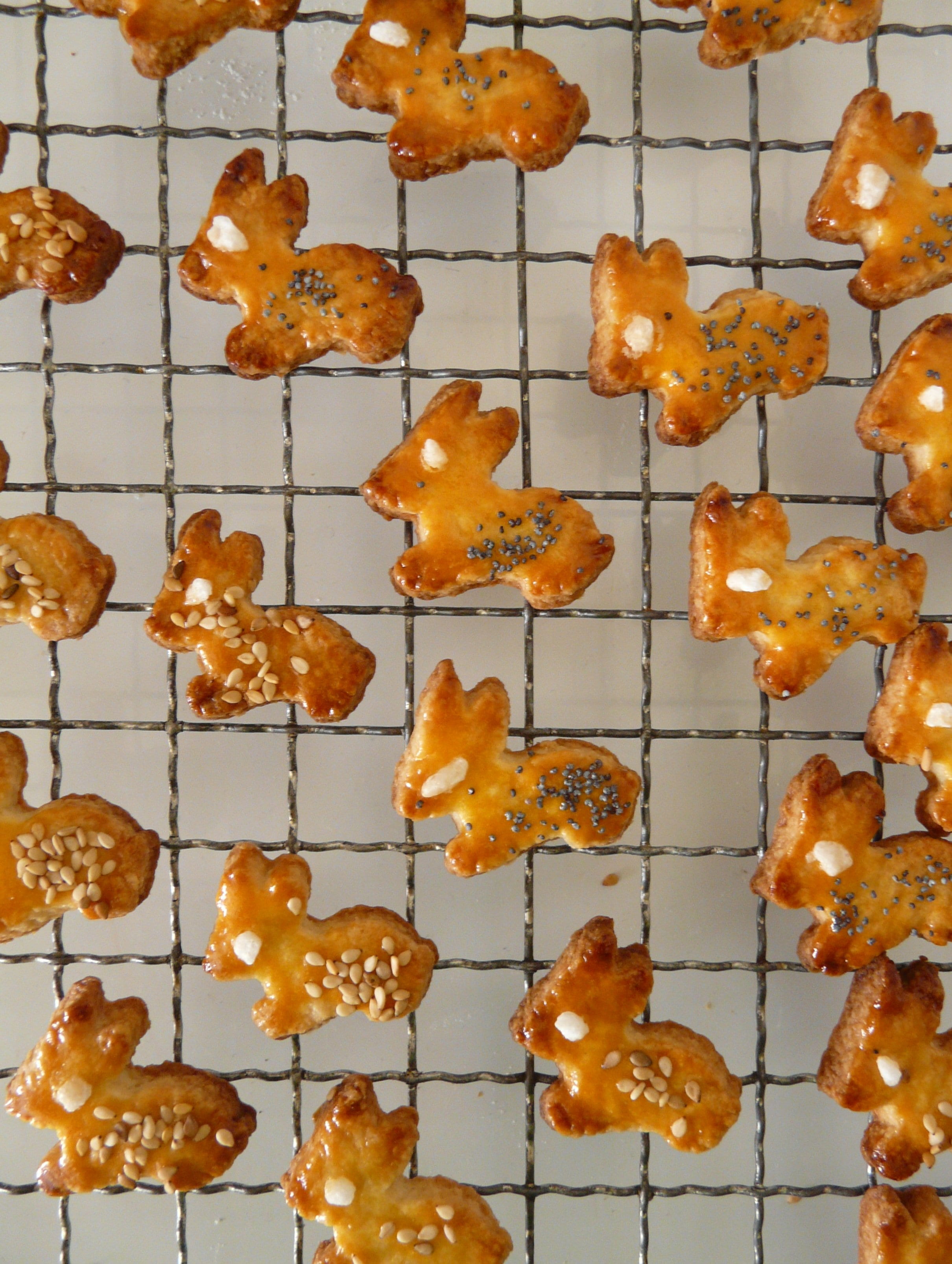 easter bunny, easter cakes, rabbit, bake, dough, ausstecherle
