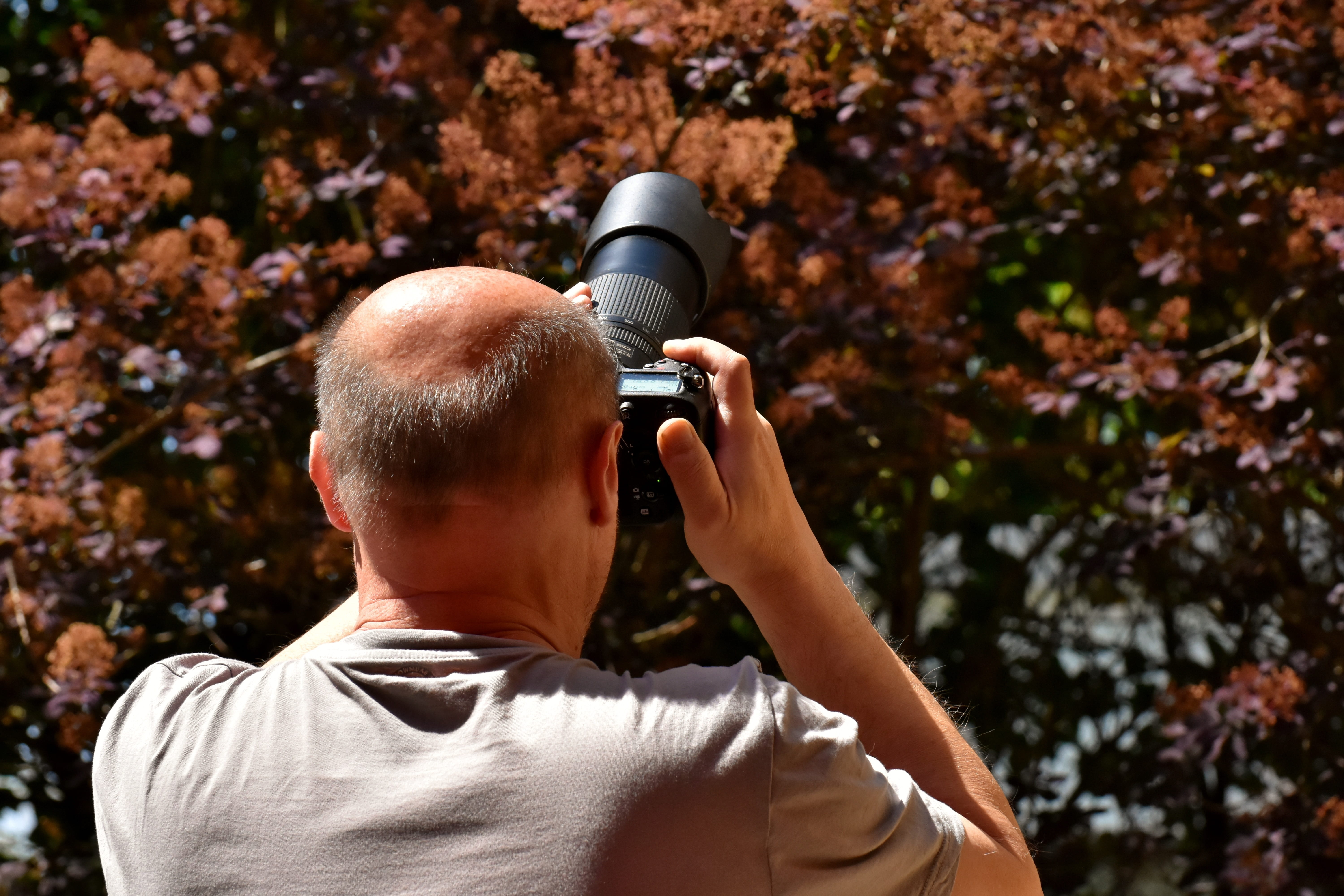 man taking photo of trees, photographer, camera, person, human