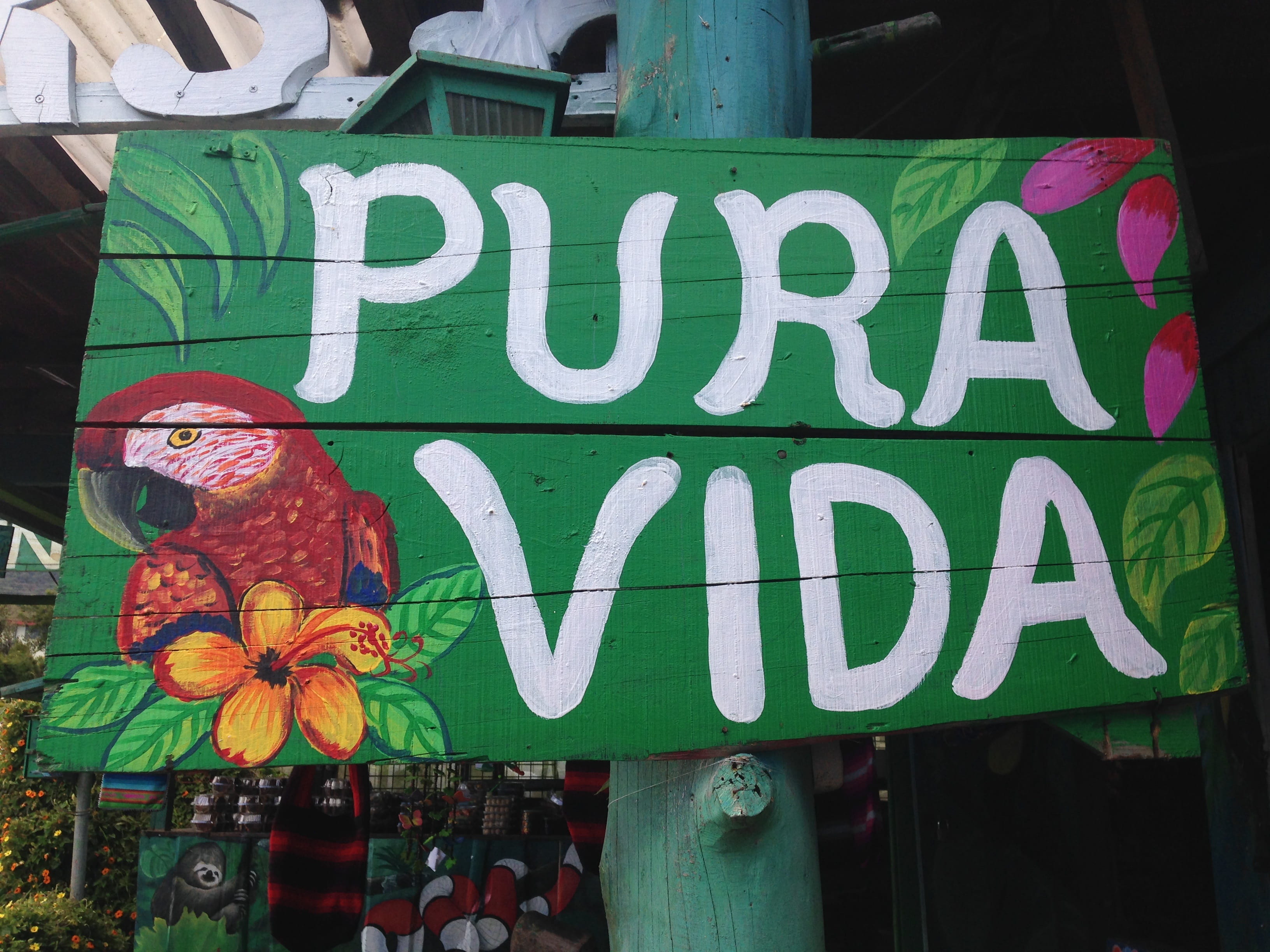 pura vida signage, Costa Rica, Rainforest, Nature, Eco, text