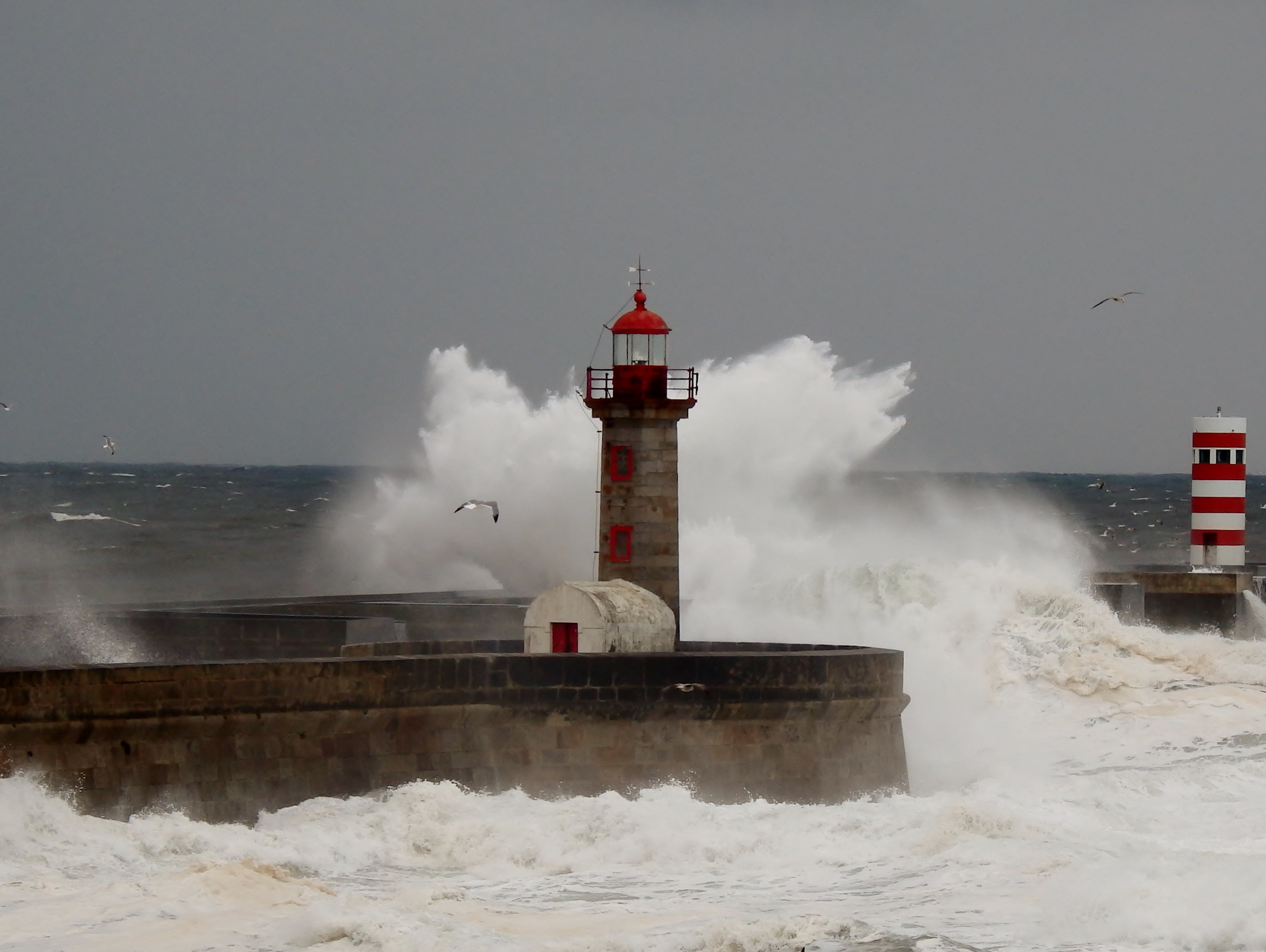lighthouse, porto, portugal, sea, storm, hurricane - Storm