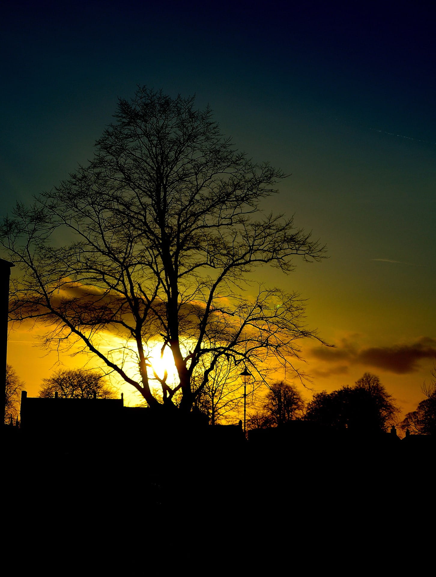 Clouds, Spring, Night, Sky, Tree, trees, sunset, red, seasons