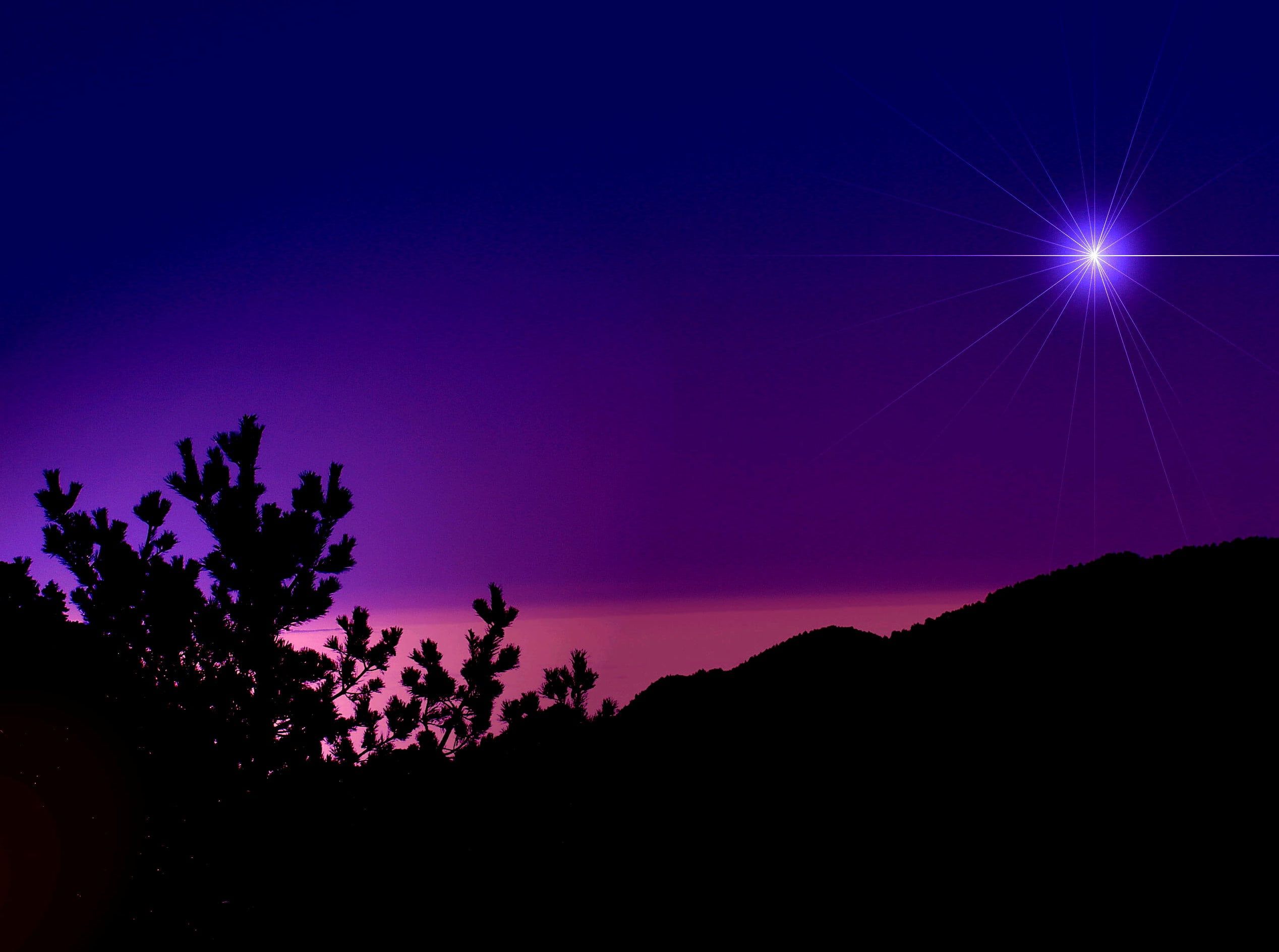 silhouette photo of trees under purple shining star, sky, mountain