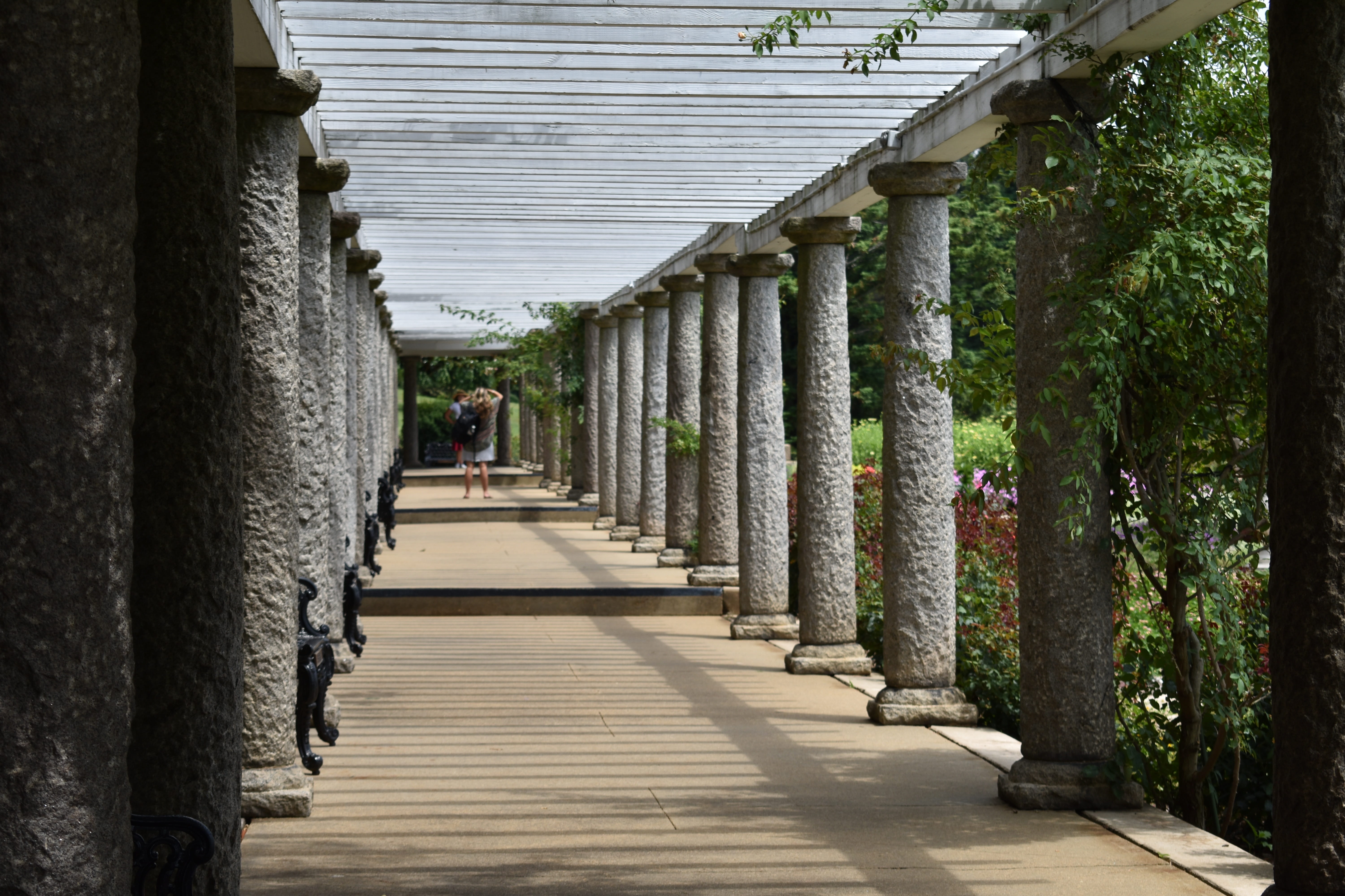 columns, walkway, pathway, pillars, sunny, structure, architecture