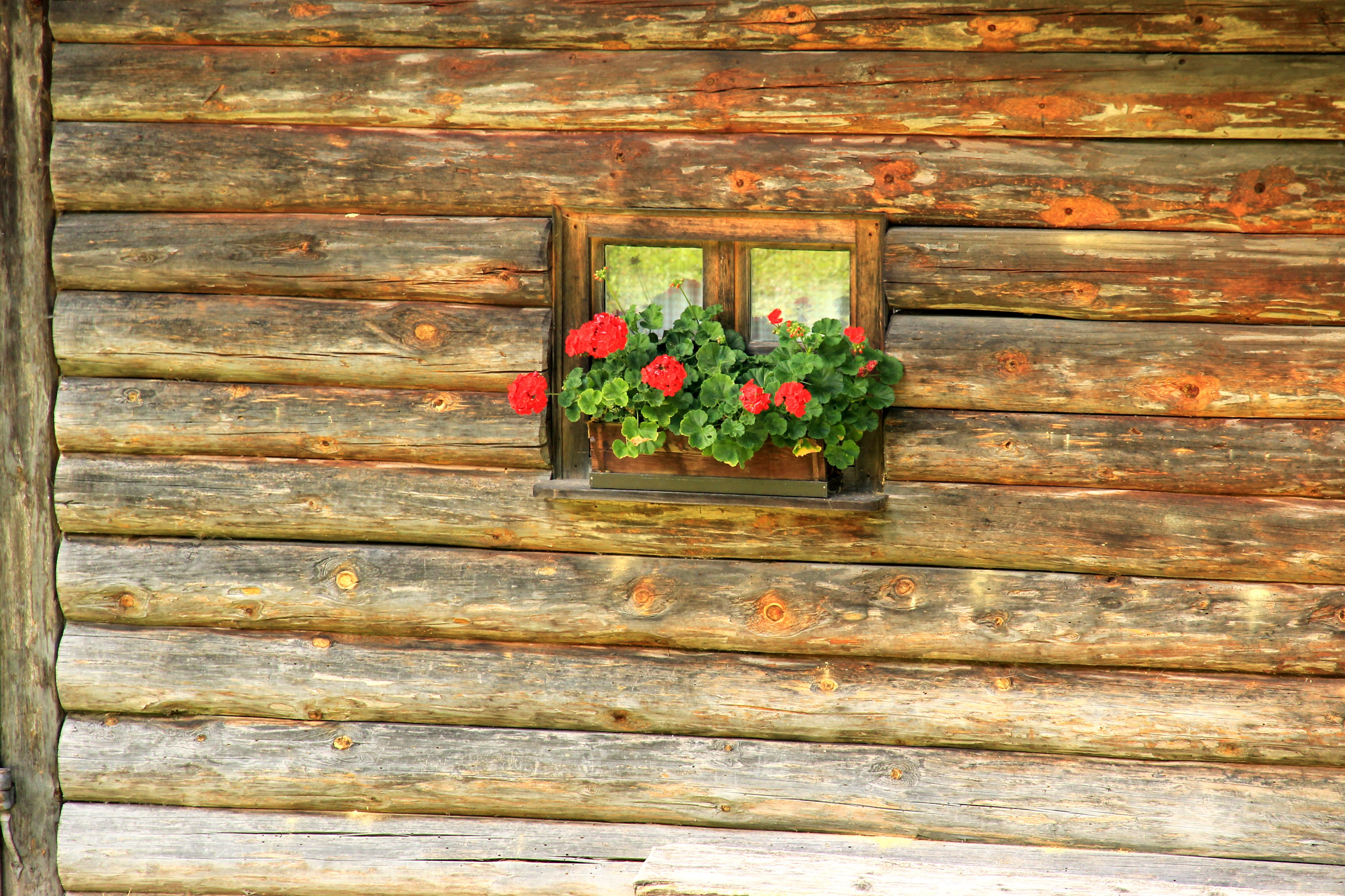 Window, Hut, Log Cabin, Barn, Vacation, rustic, flower box