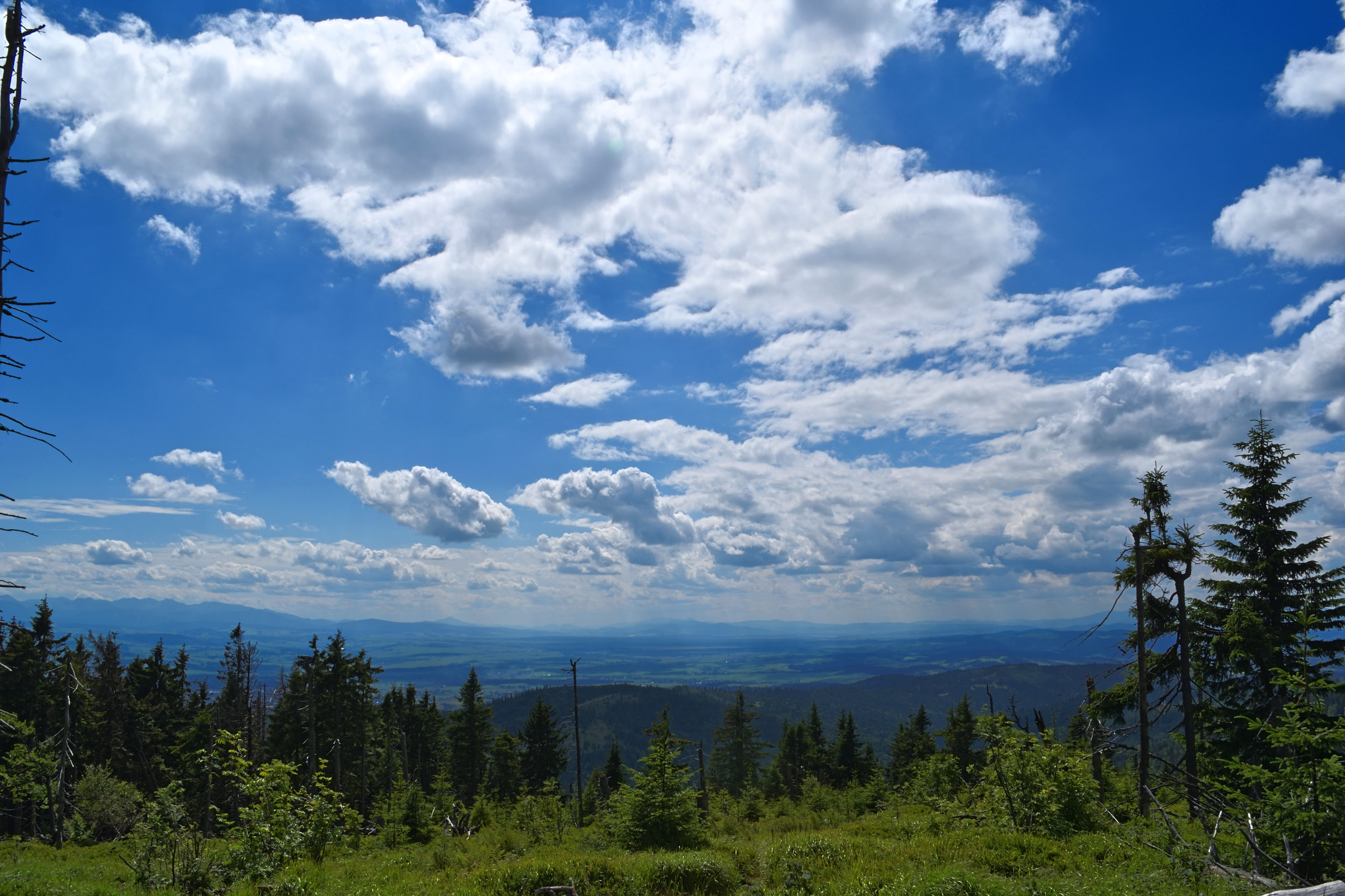 landscape, sky, mountains, clouds, view, top view, tree, cloud - sky