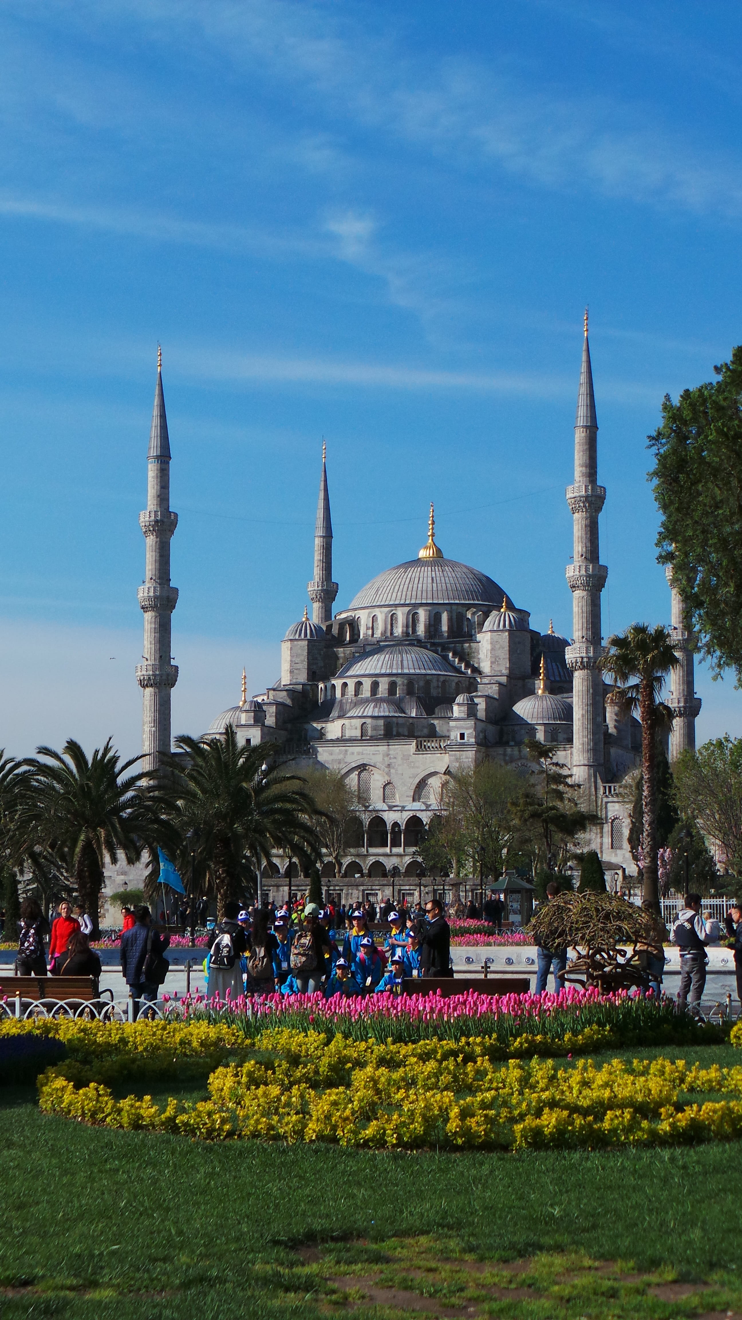Istanbul, Blue Mosque, Turkey, islam, dome, famous, turkish