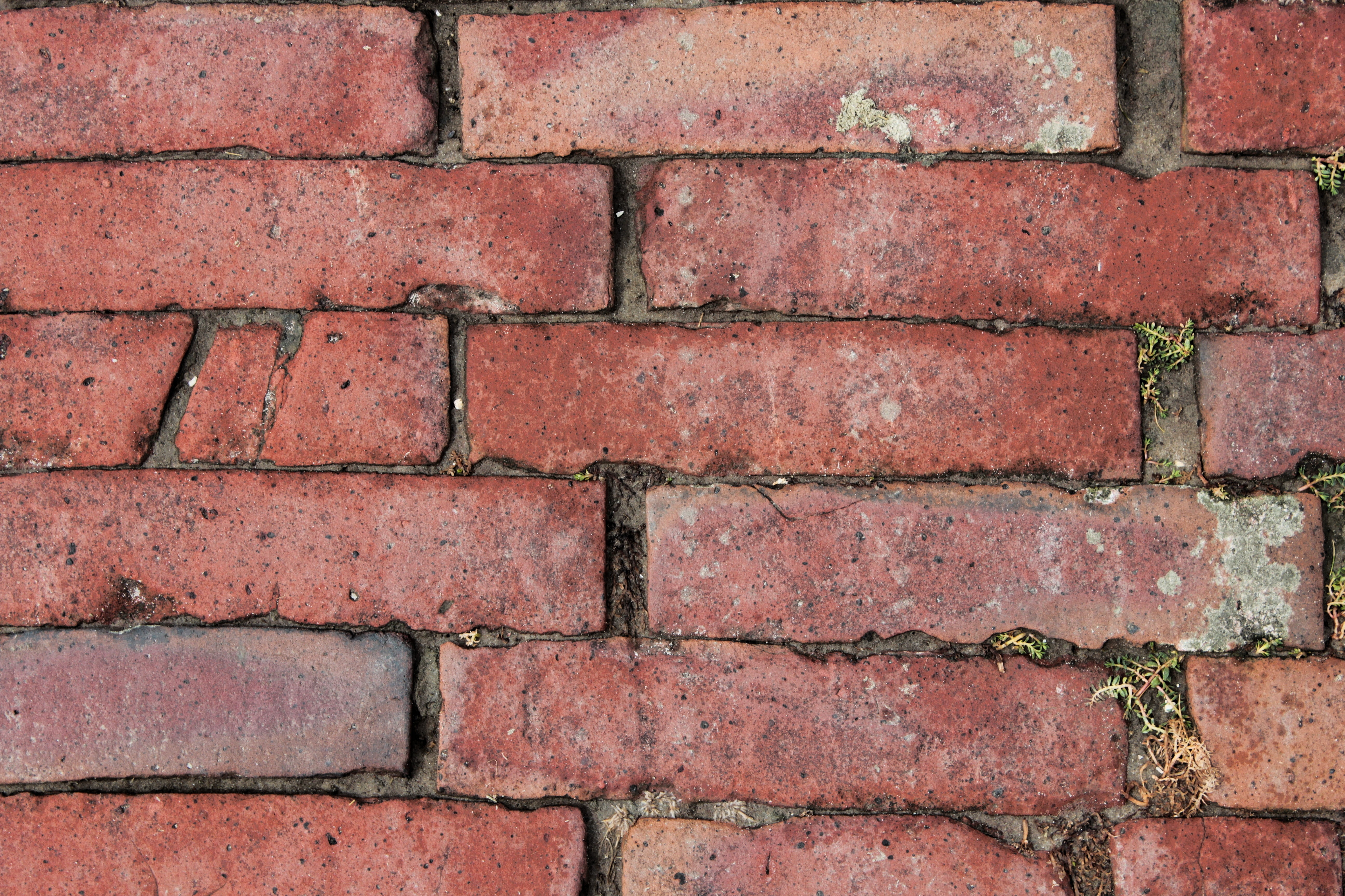 wall, bricks, texture, red, masonry, brick wall, red brick