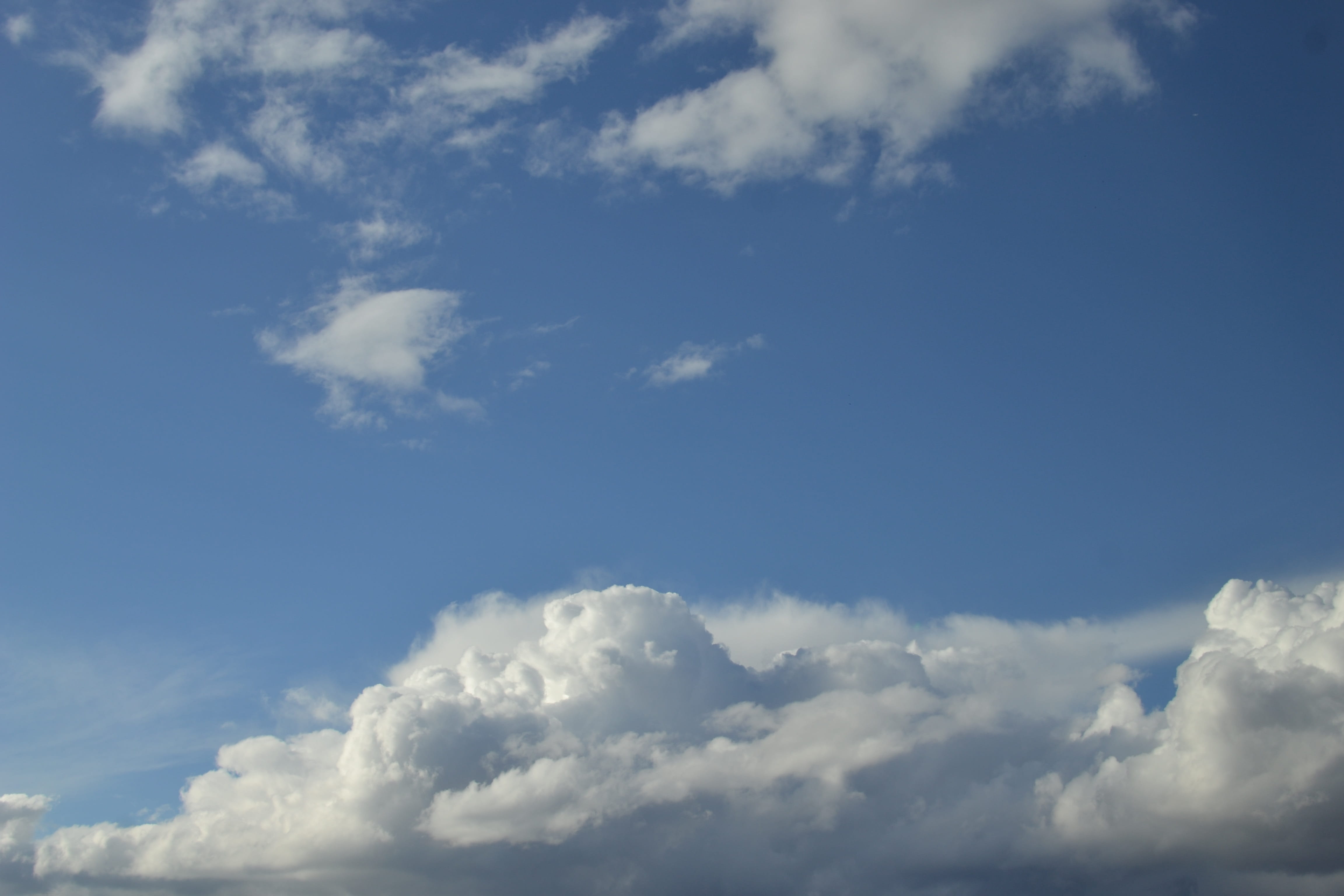nature, sky, summer, high, clouds, clouded sky, blue, cloud - sky