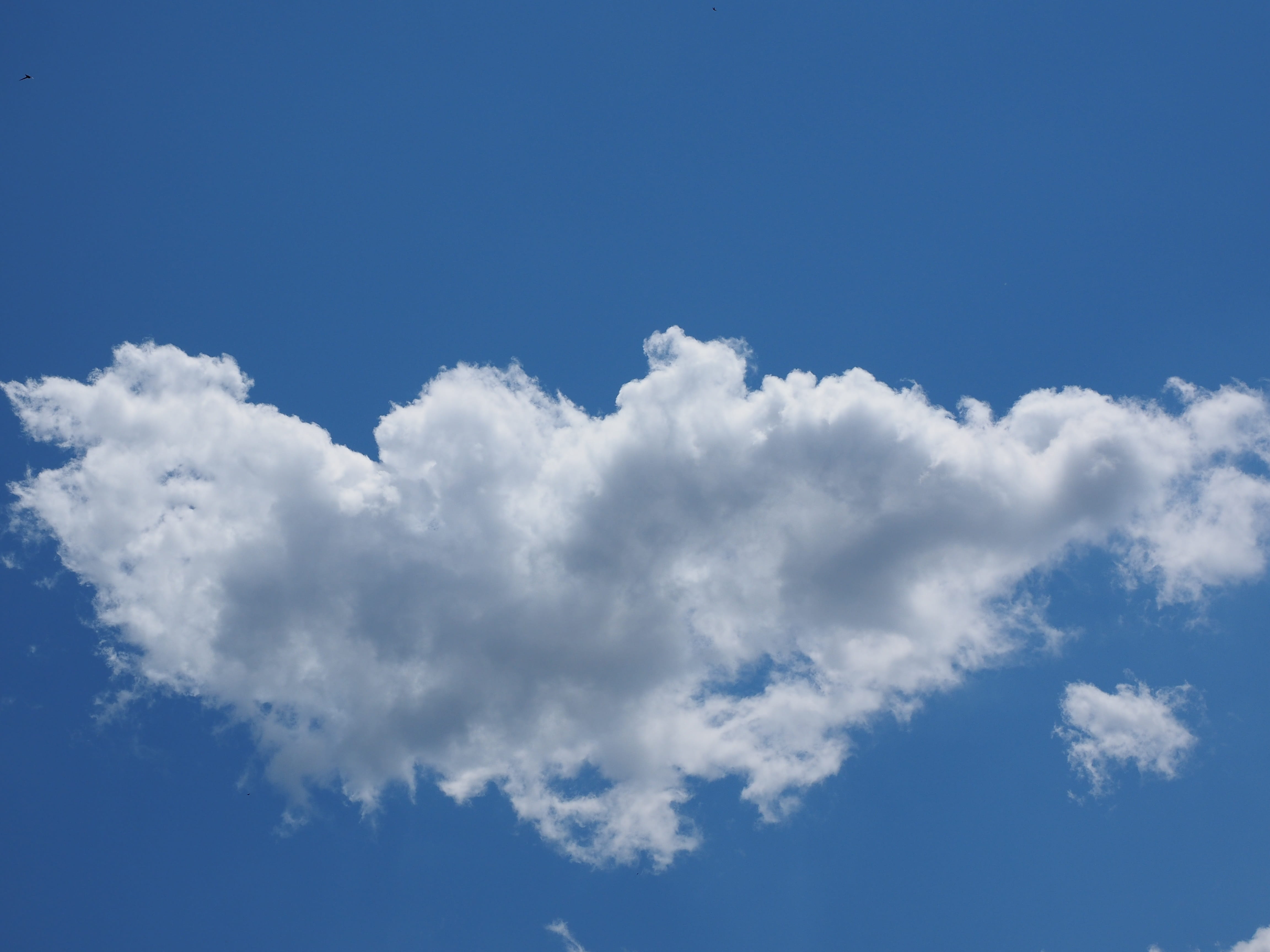 Sky, Cloud, Clouds, Form, White, blue, clouds form, cumulus clouds