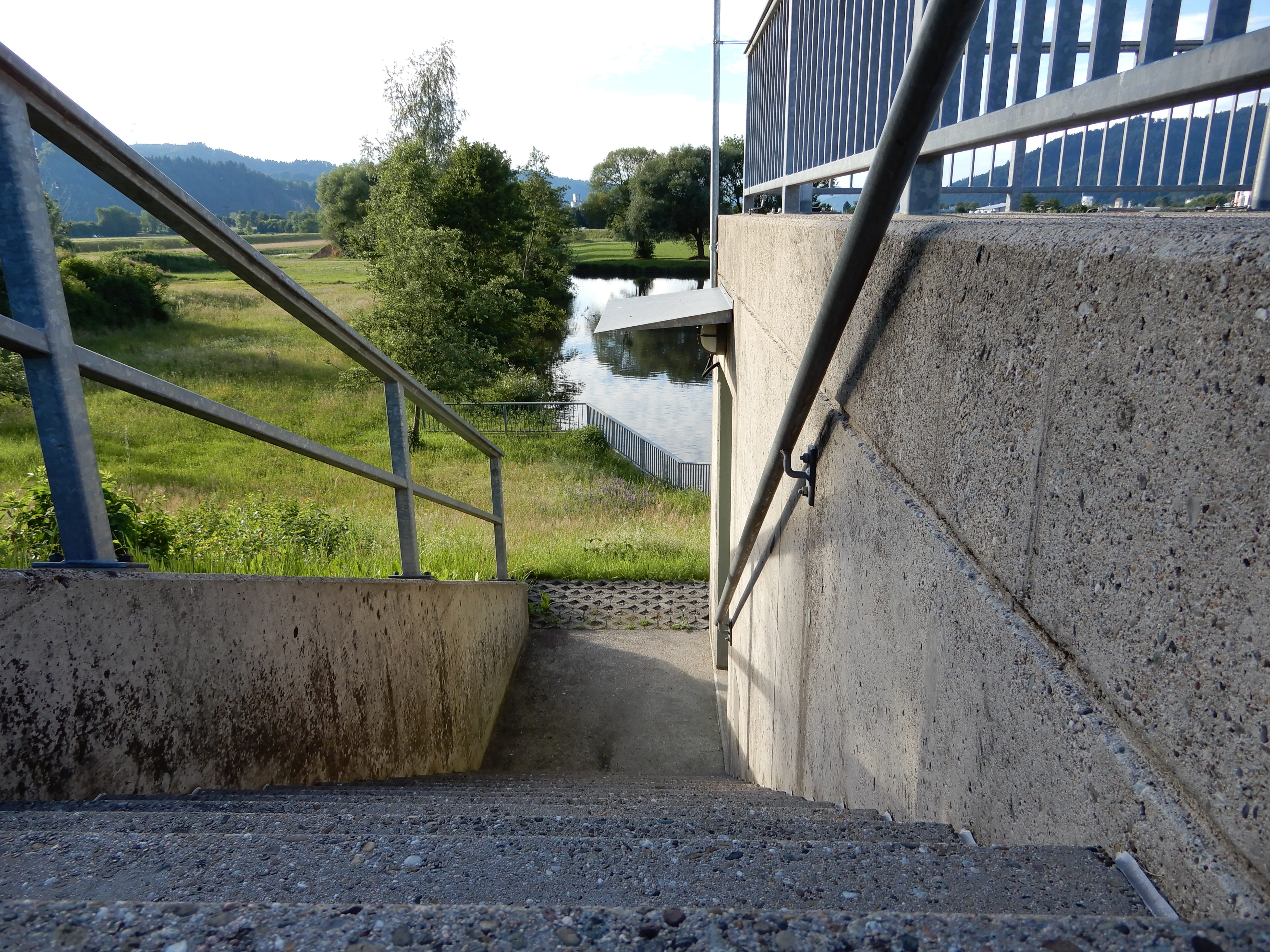 stair step, railing, tree, architecture, built structure, plant