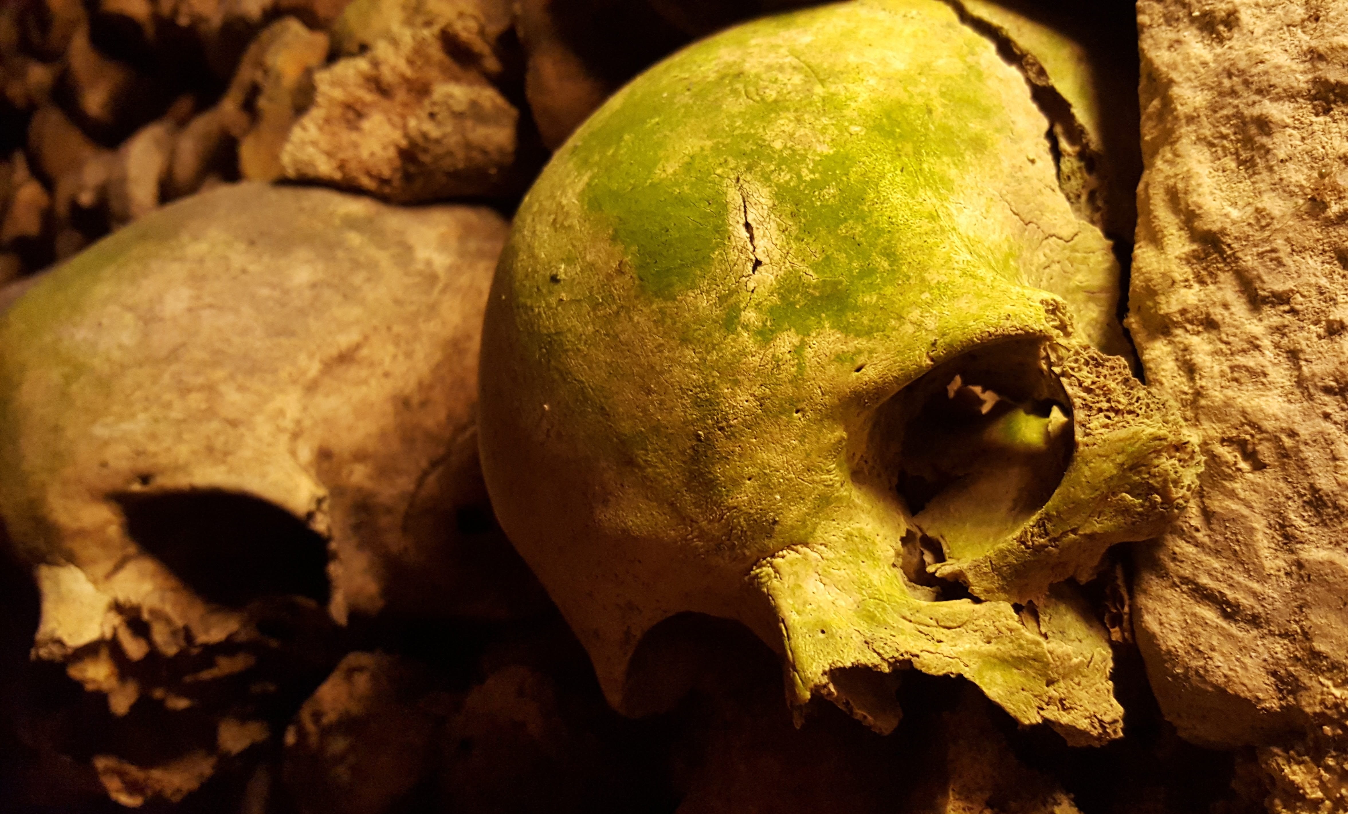 two human skulls, Catacombs, Paris, Bones, cemetery, halloween