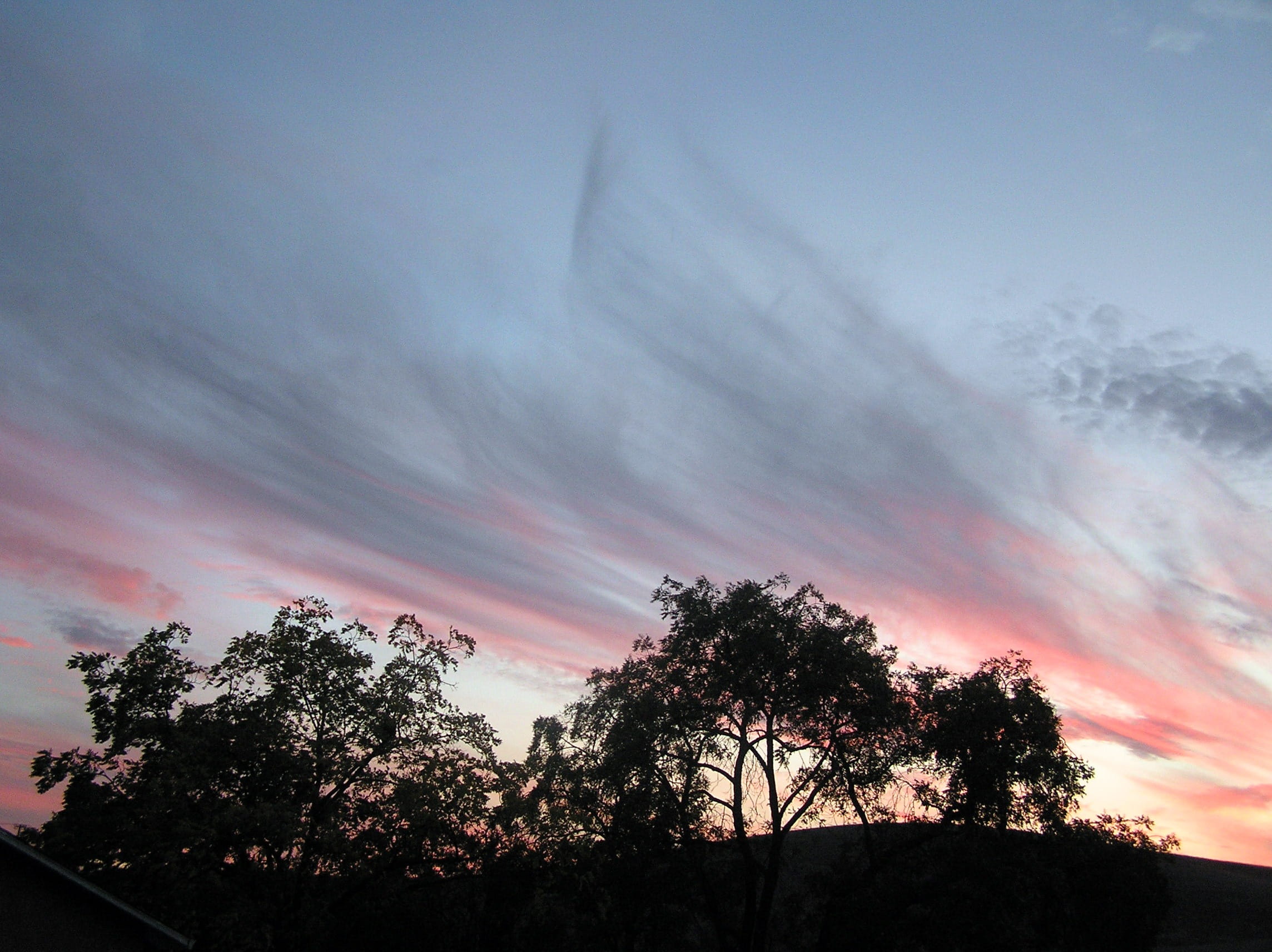Sunset, Trees, Clouds, Silhouette, sky, evening, view, scenic