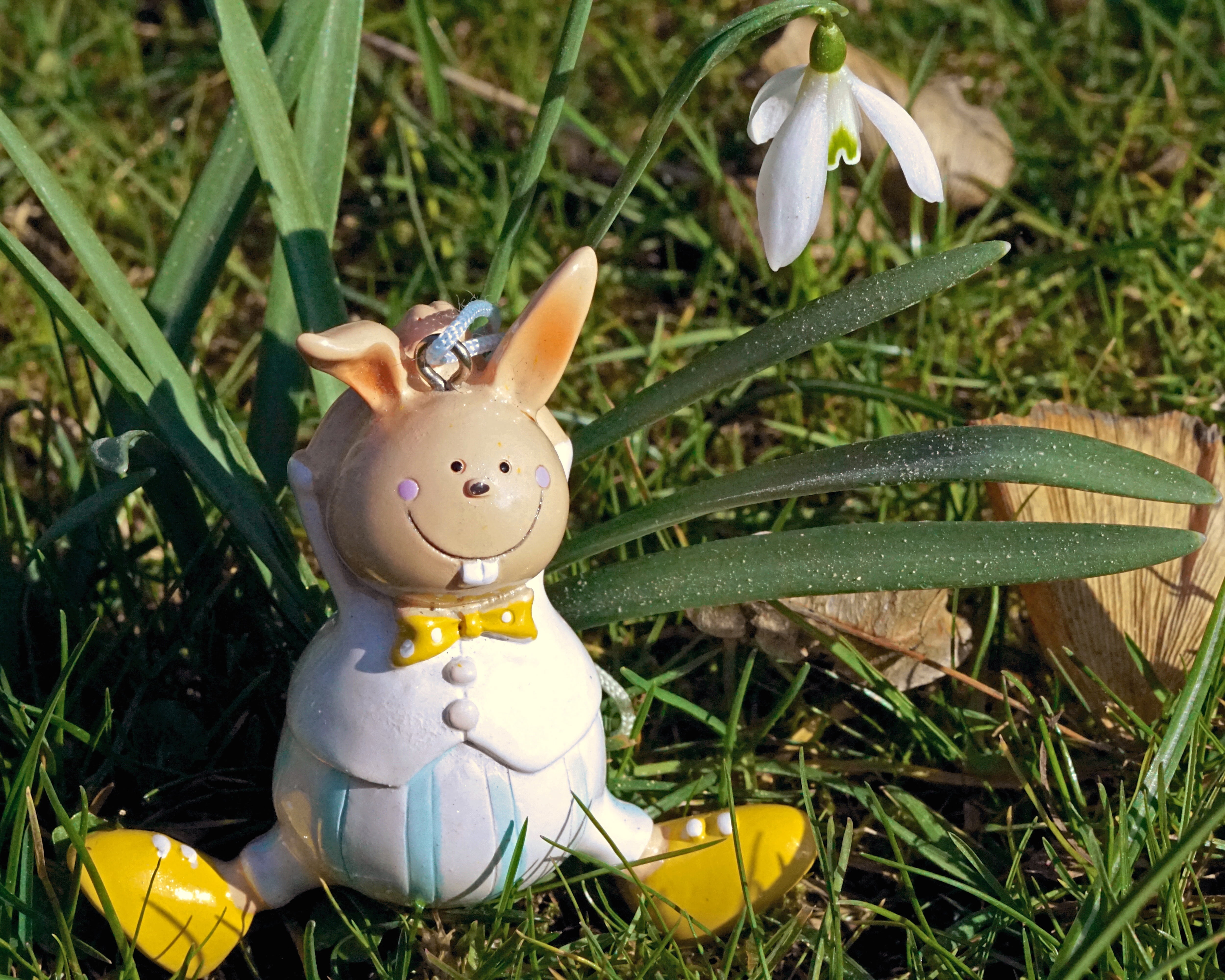 easter, easter decoration, bunny, easter bunny, hare, spring
