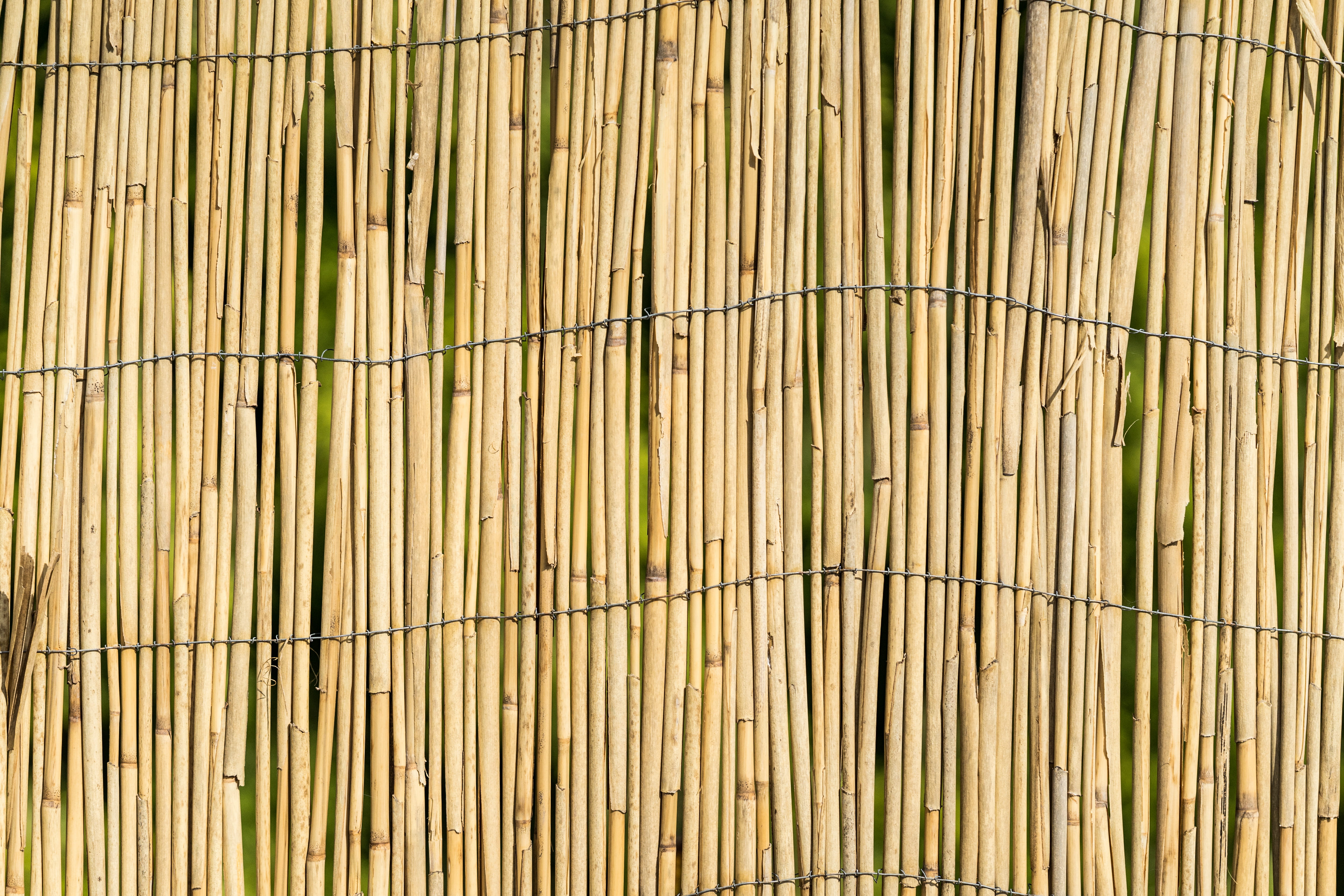 Garden Bamboo Wall Fence Texture Background, pattern, privacy