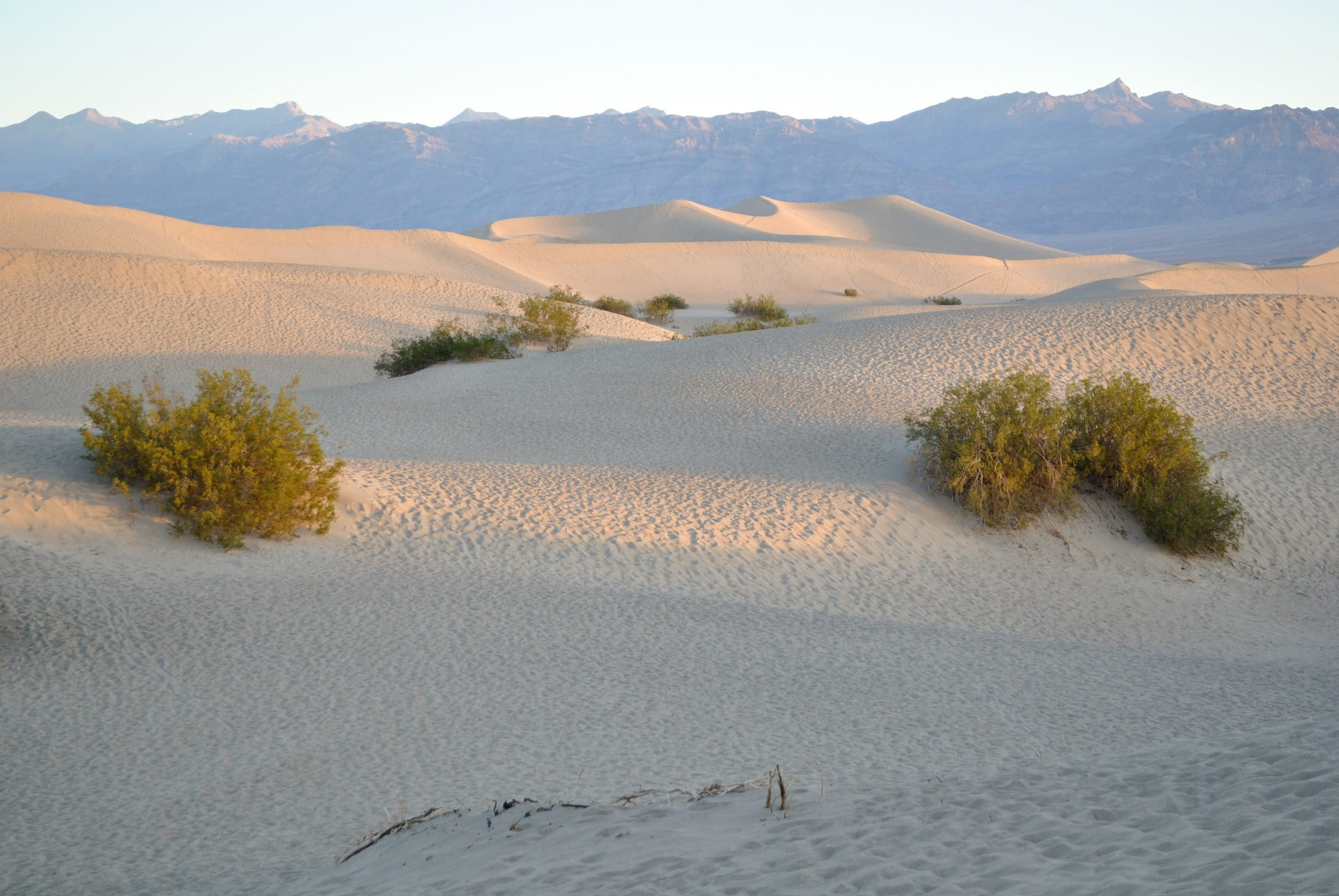 Dunes, Sand, Death Valley, Desert, landscape, park, california