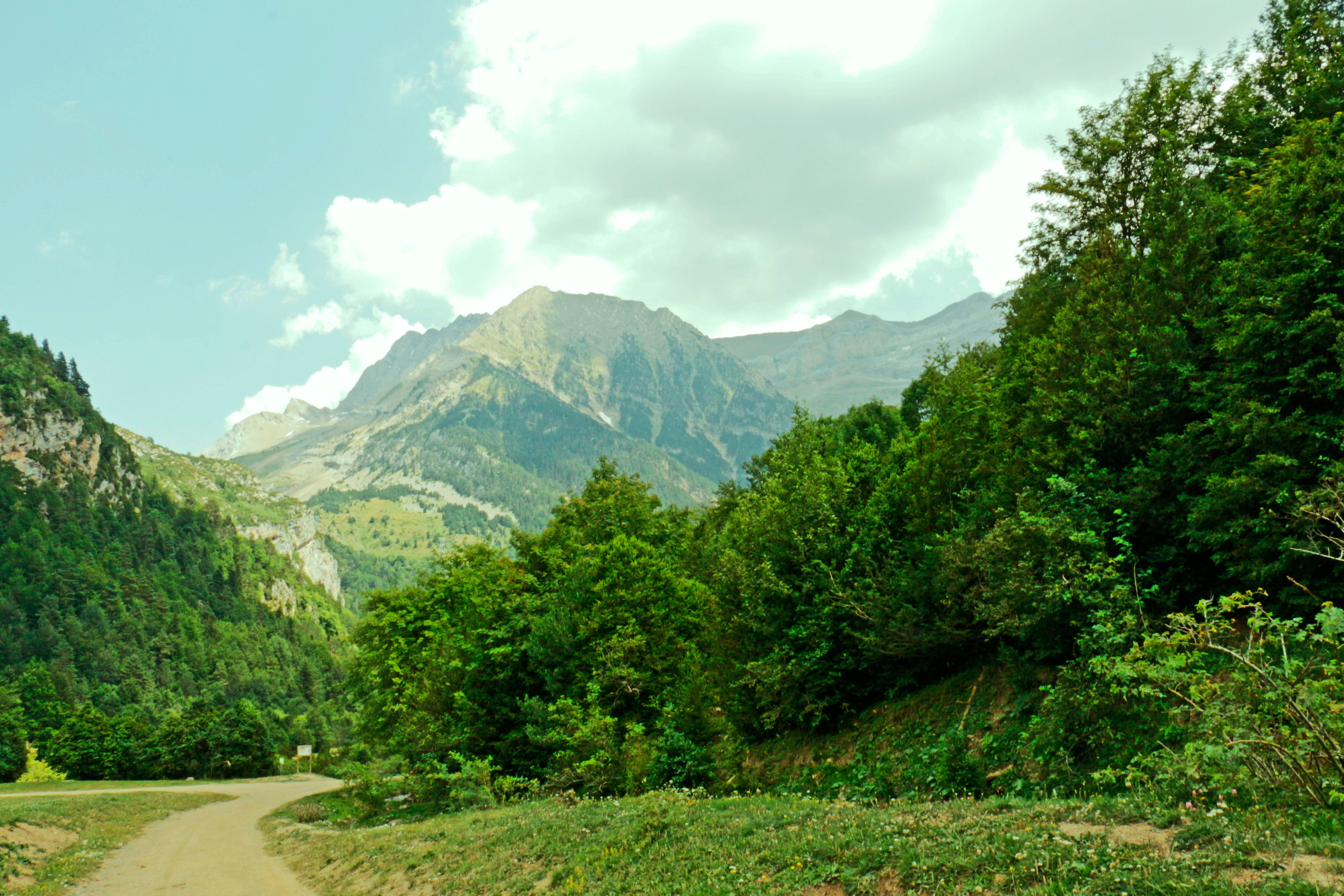 mountains, clouds, sky, panorama, forests, plant, cloud - sky