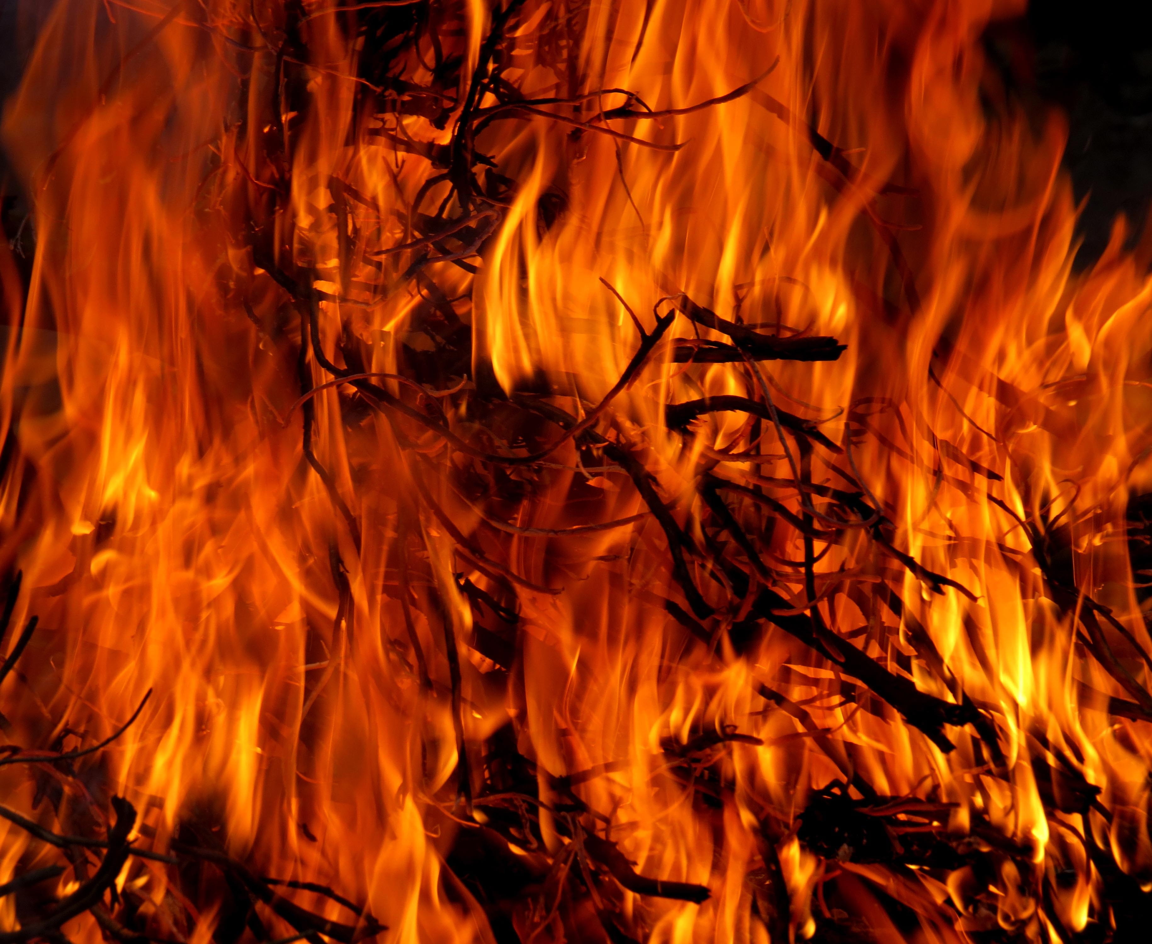 red fire digital wallpaper, easter, easter fire, flame, embers