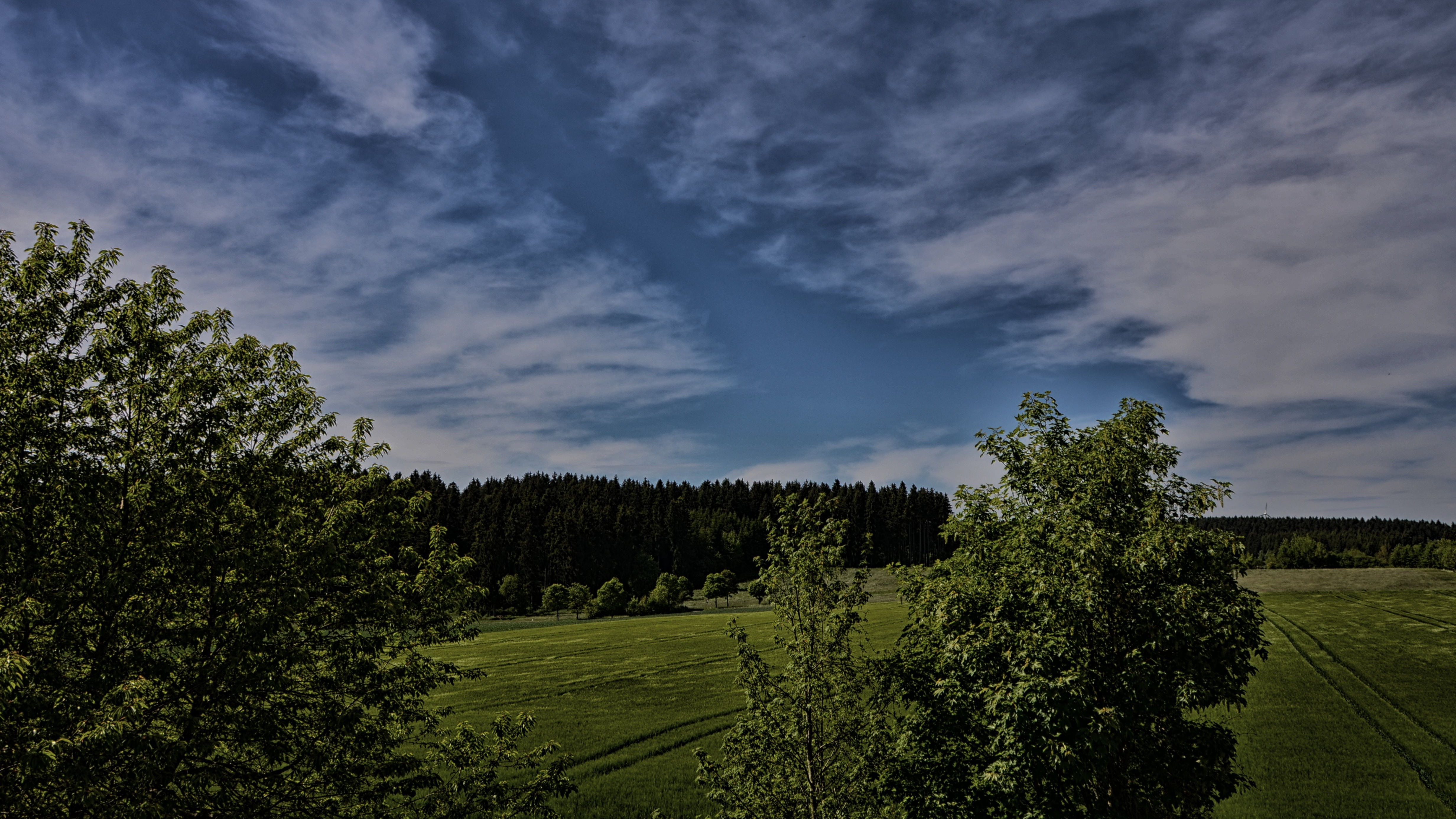 nature, sky, dramatic, gloomy, blue, clouds, meadow, forest