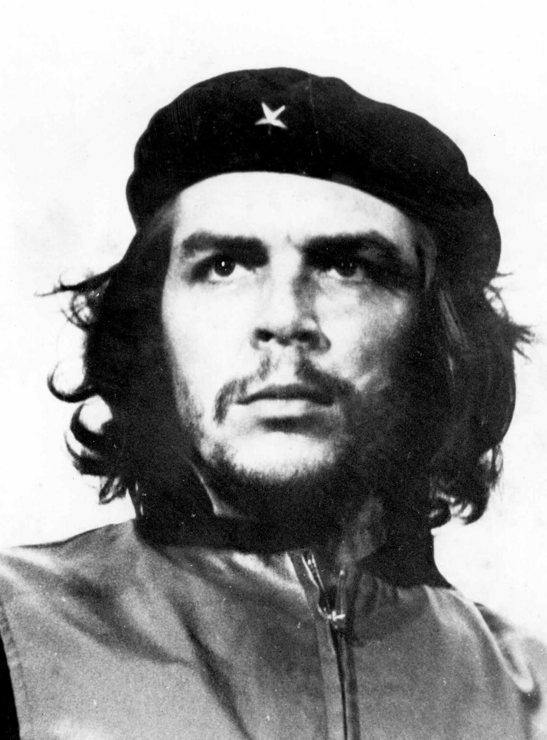 Che Guevara, rebel, portrait, man, face, ernesto guevara de la serna