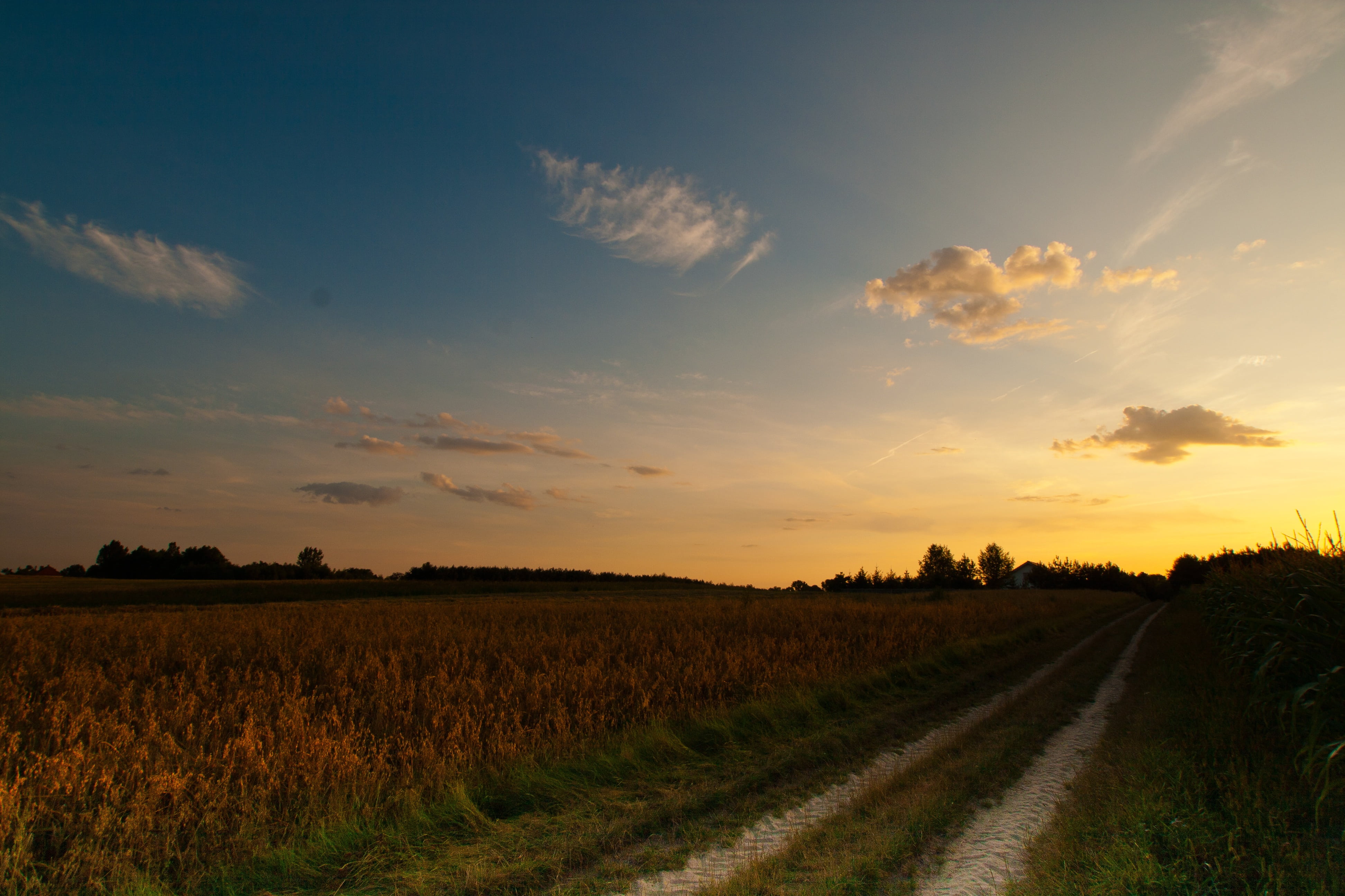 sunset, evening, warm, evening sky, cloud, lane, landscape