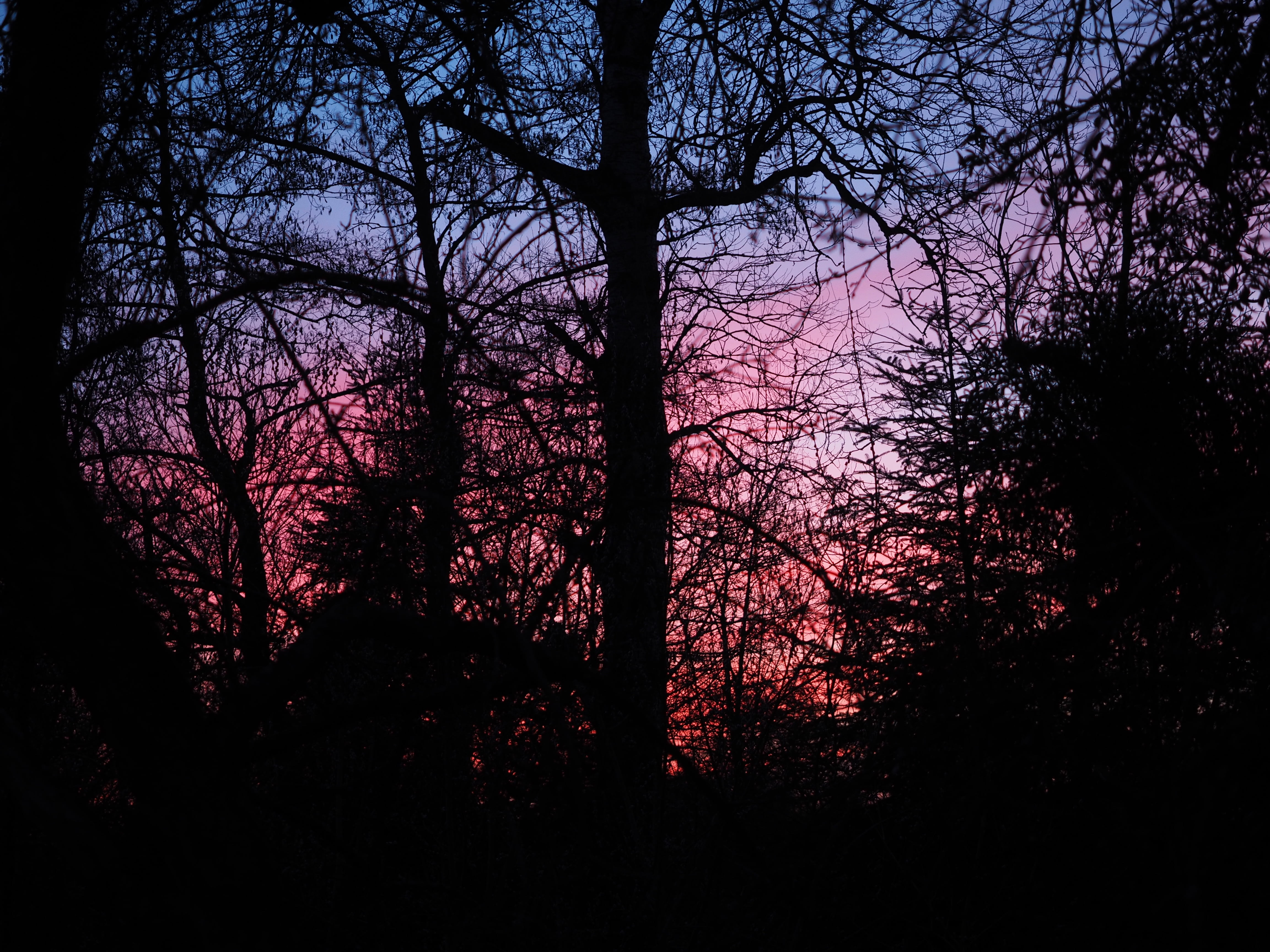 afterglow, evening, abendstimmung, sunset, evening sky, red