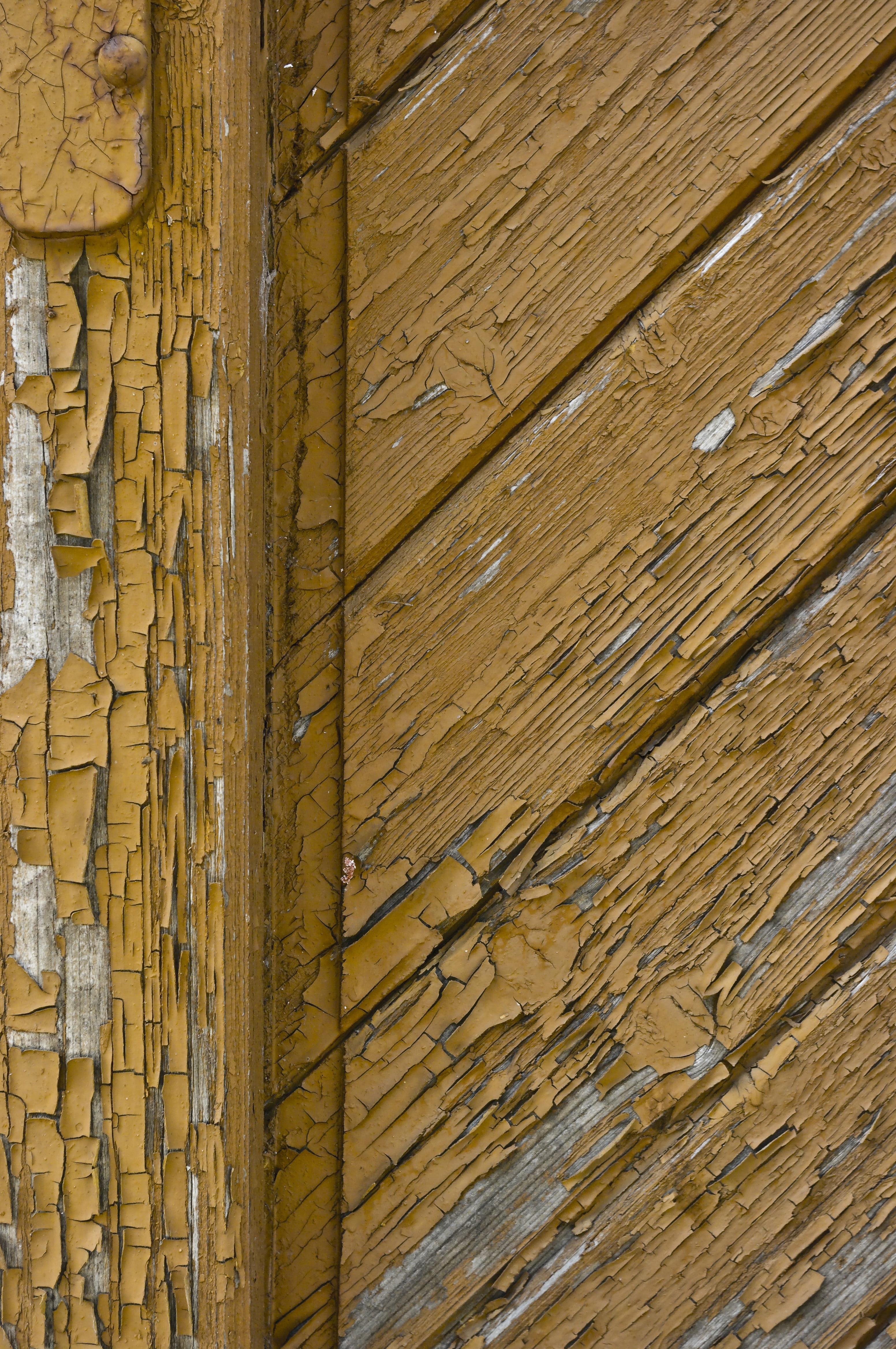 paint, old, tree, background, surface, wood texture, wood - material