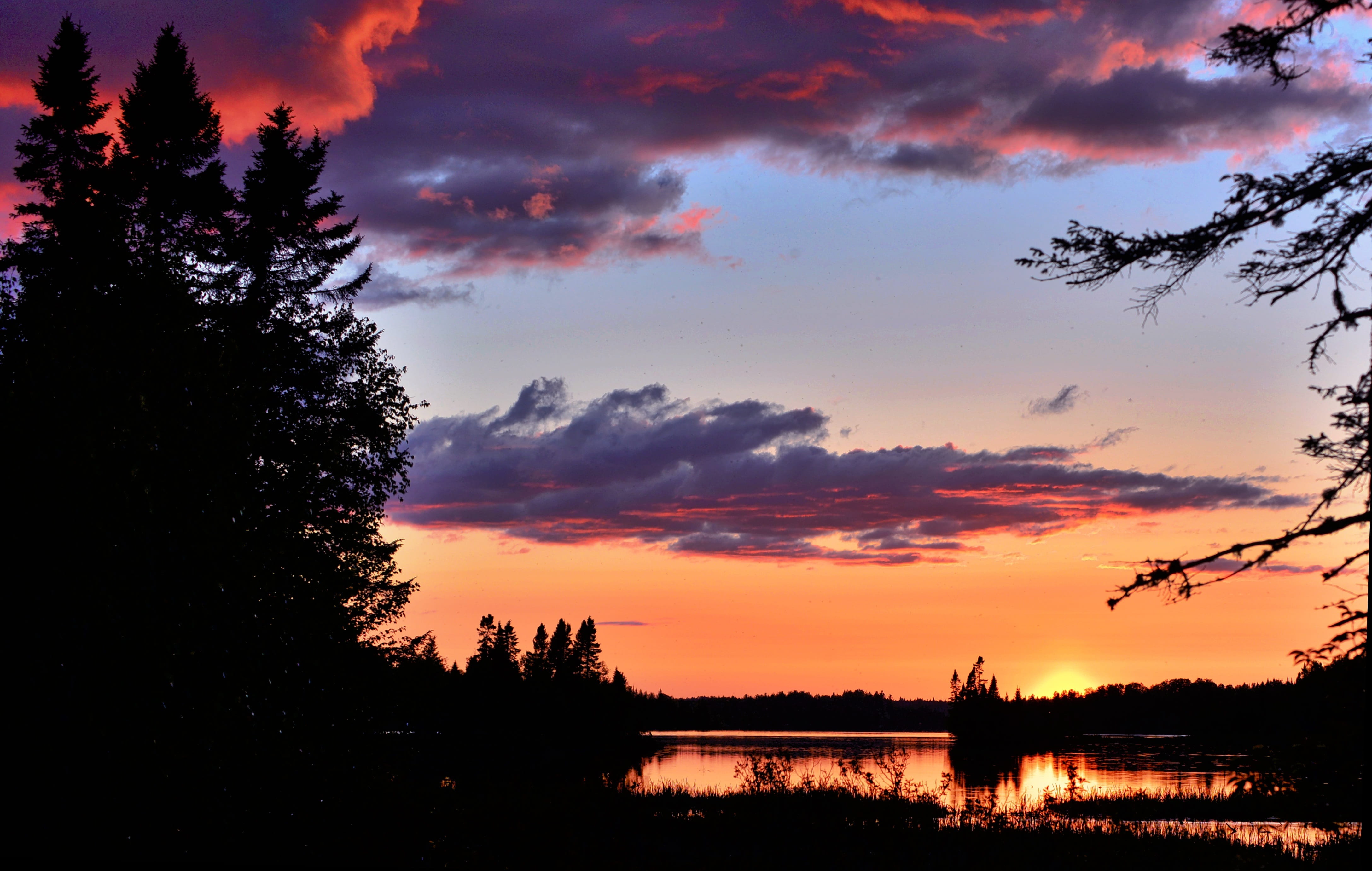 Sunset, Clouds, Orange, Twilight, sky, trees, nature, lake