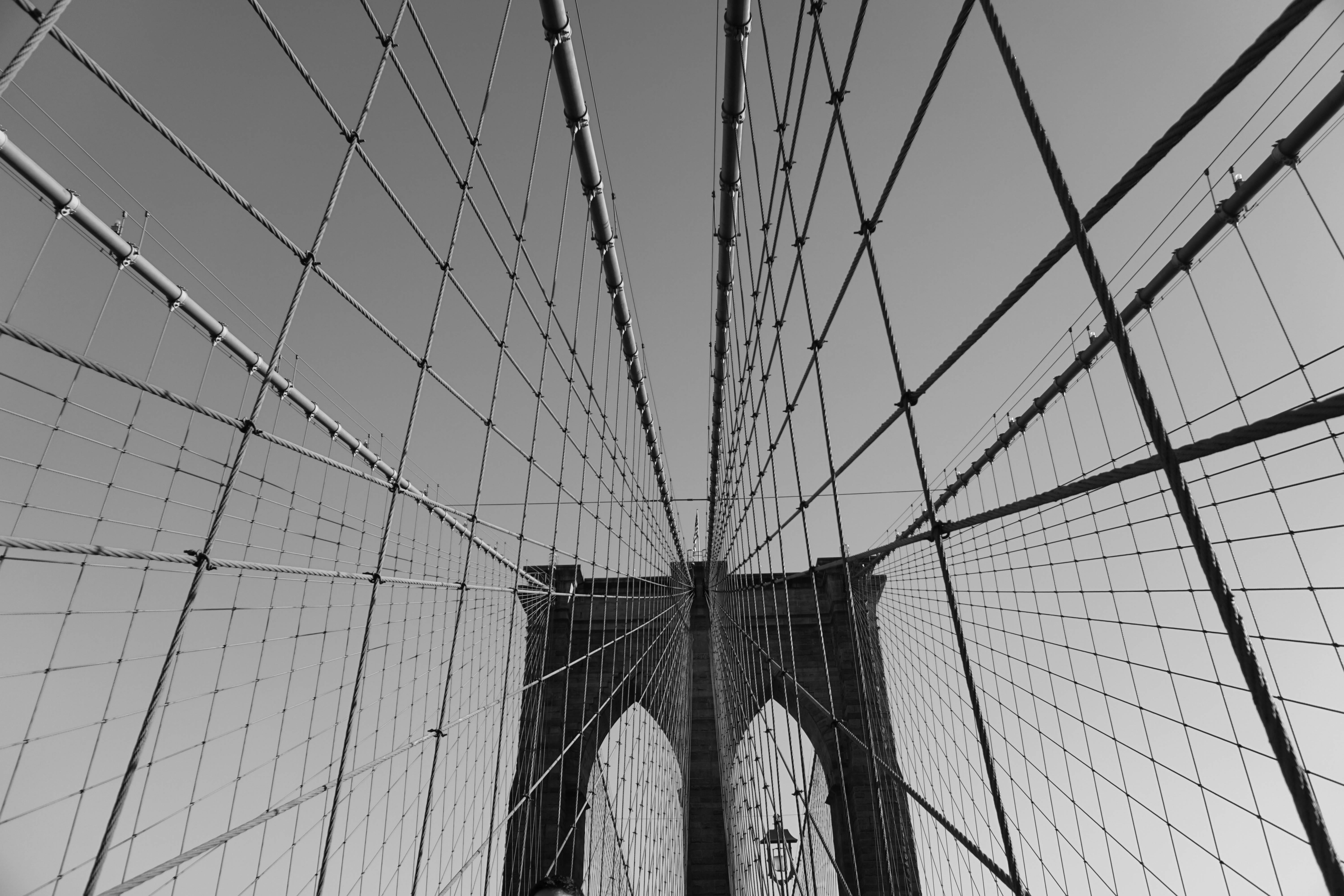 pattern, net, texture, design, geometric, modern, line, web