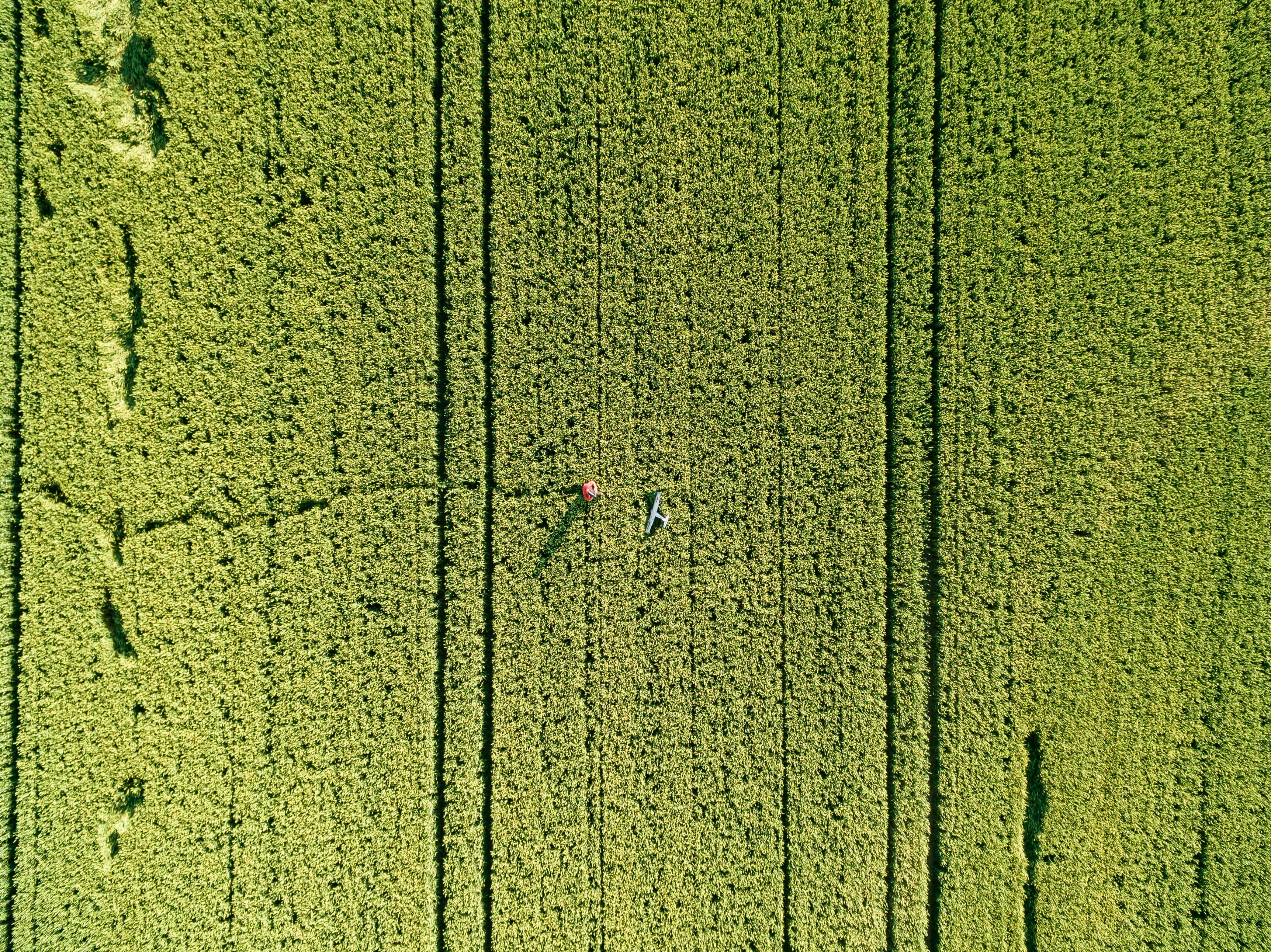 aerial view of farm, aerial view of green field, backgrounds