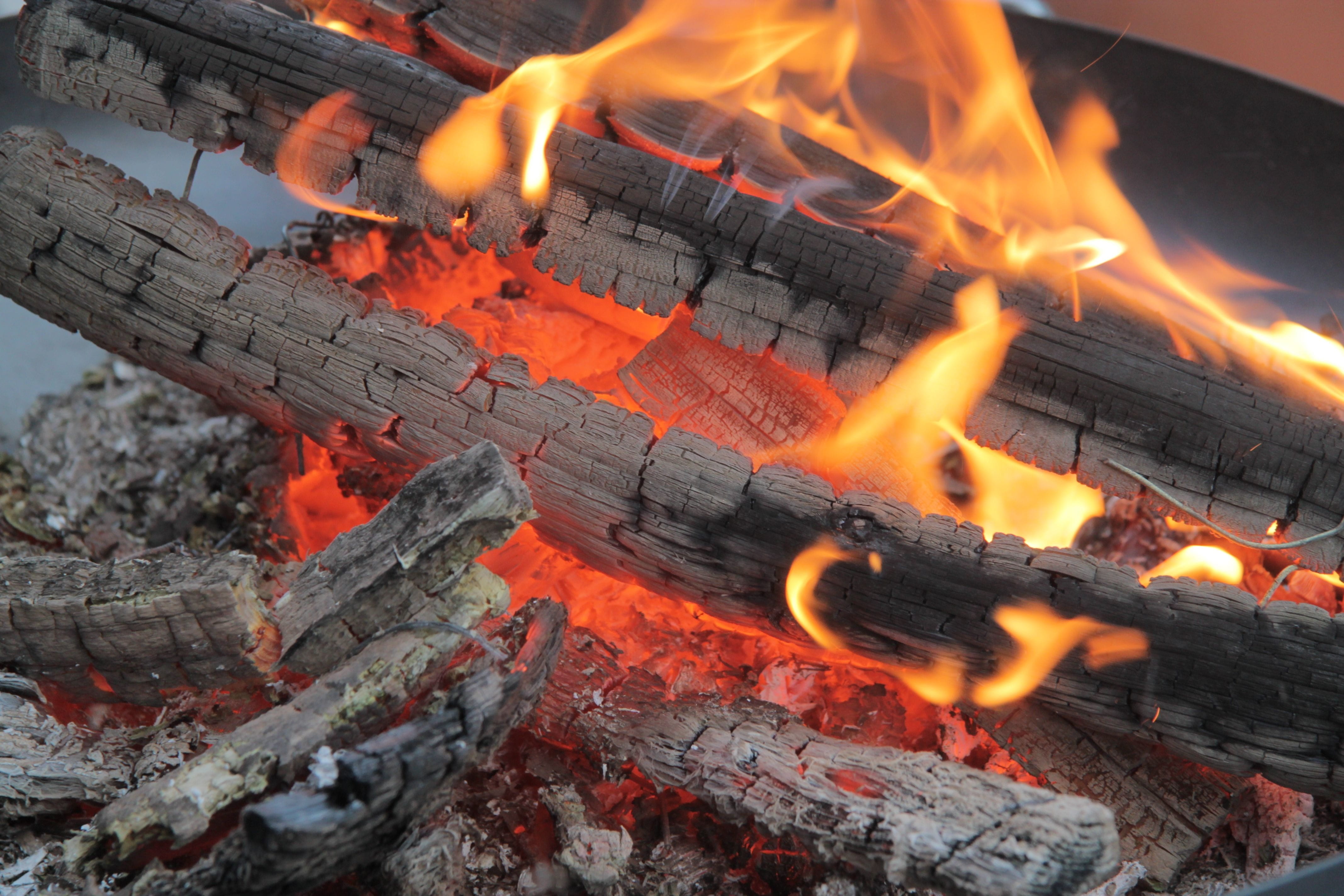 campfire, flame, embers, fireplace, flame log fire, burning