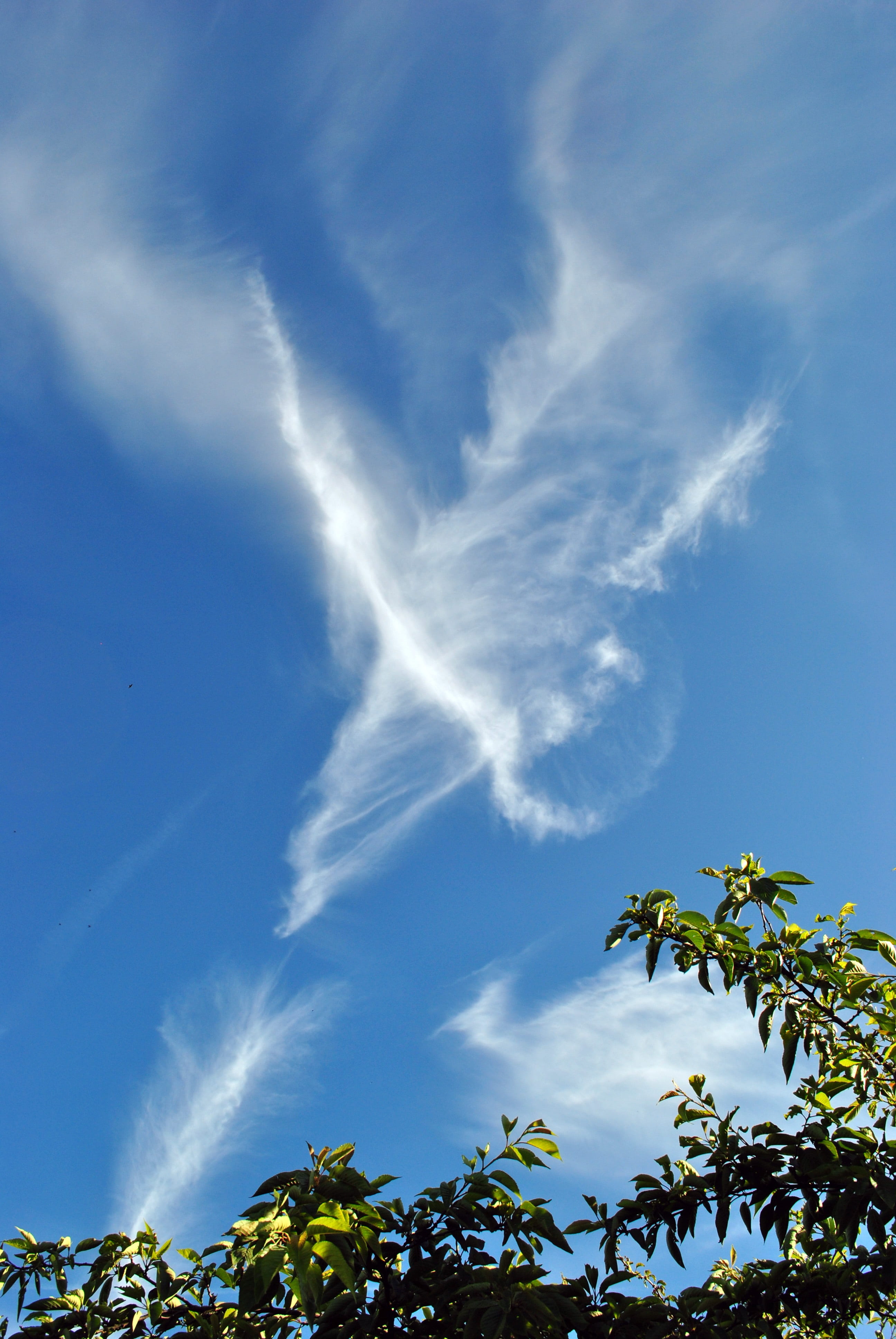 clouds, sky, vapour trails, air, environment, cloudscape, cloud - sky
