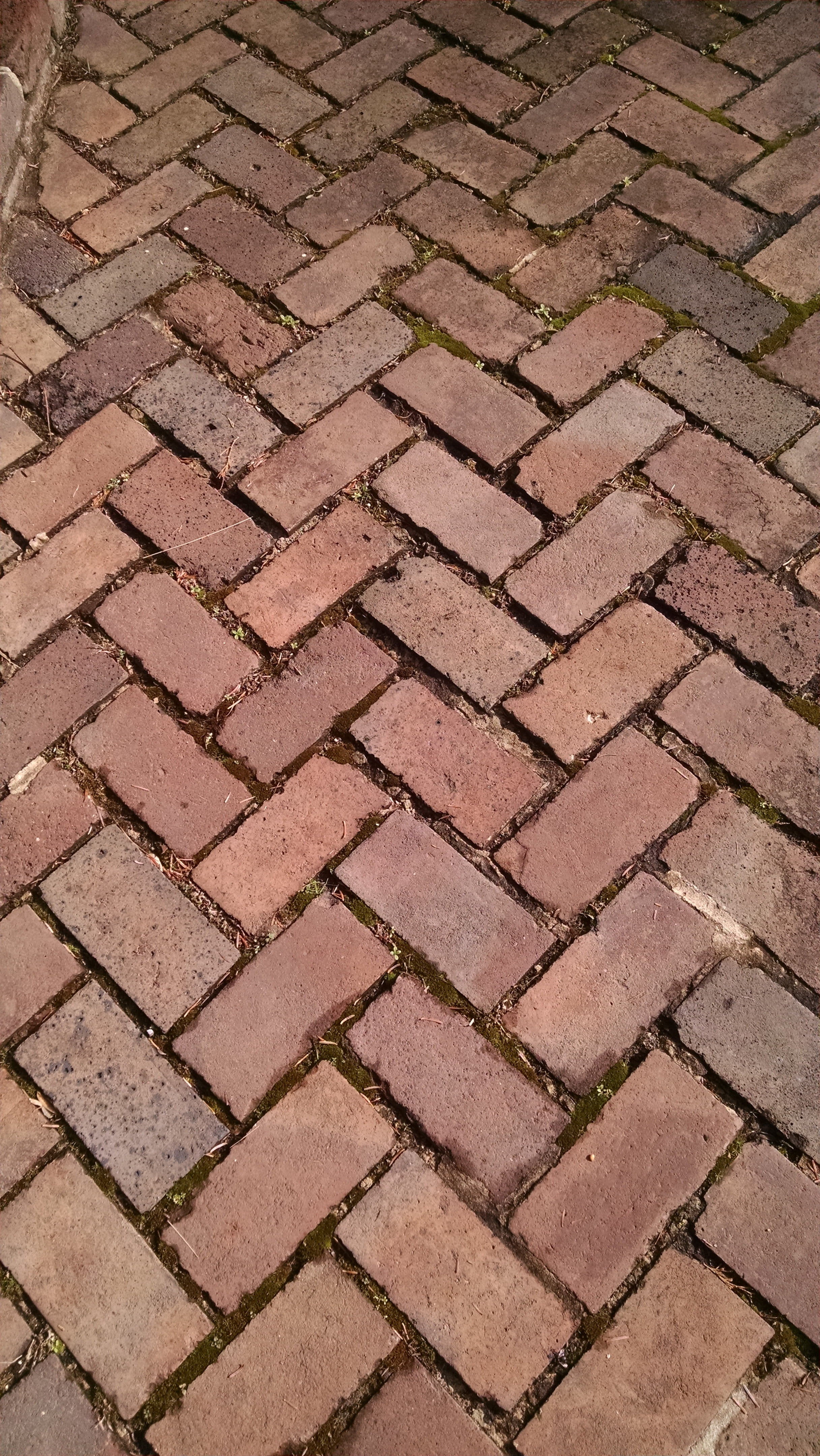 bricks, herringbone, pattern, texture, sidewalk, geometric