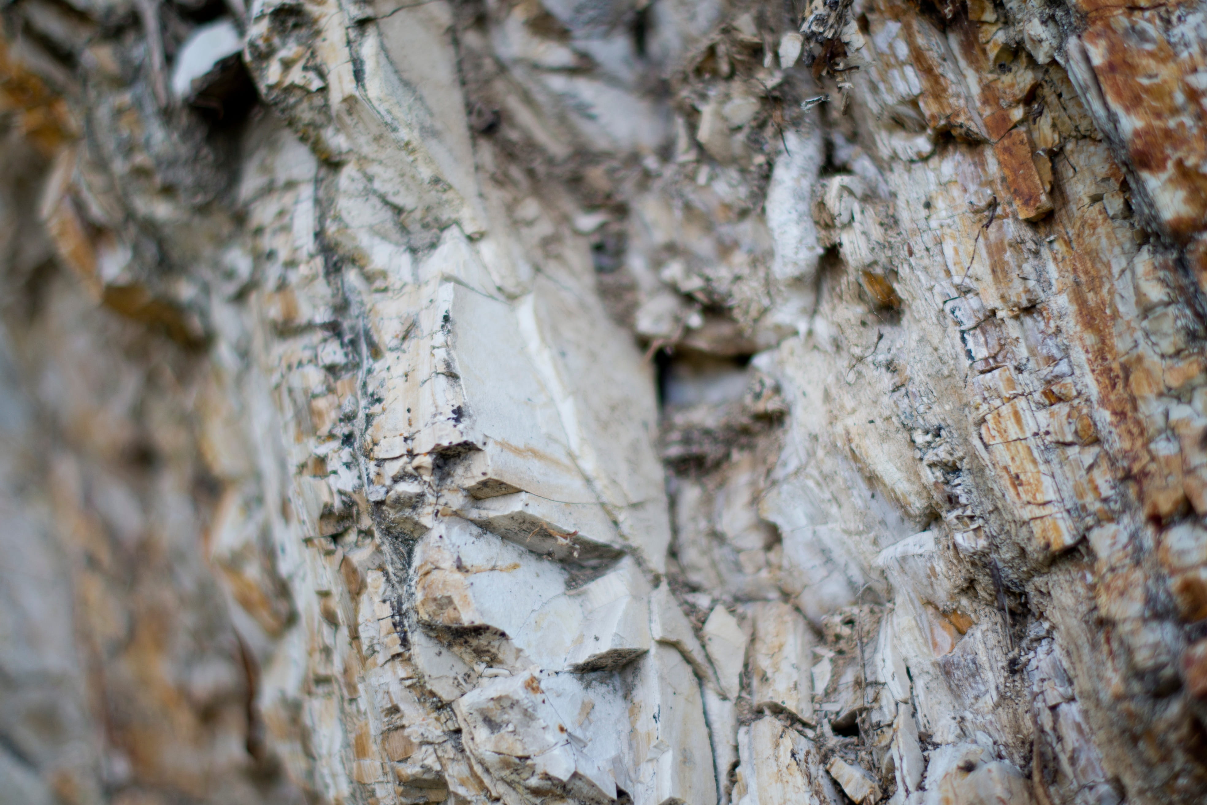 rocks, texture, nature, tree trunk, textured, close-up, full frame