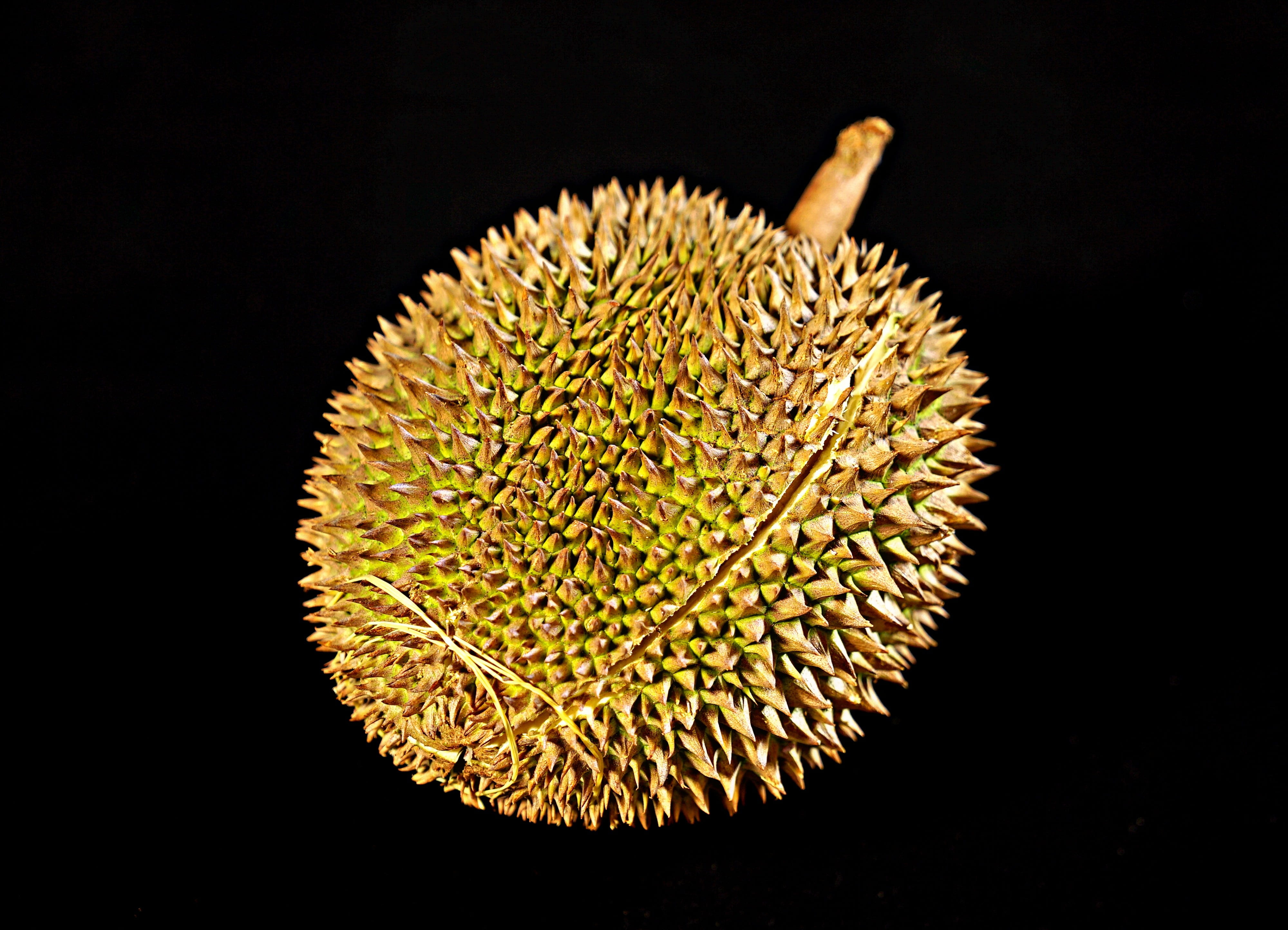 durian fruit, king of fruits, thorny fruit, tropical, delicious