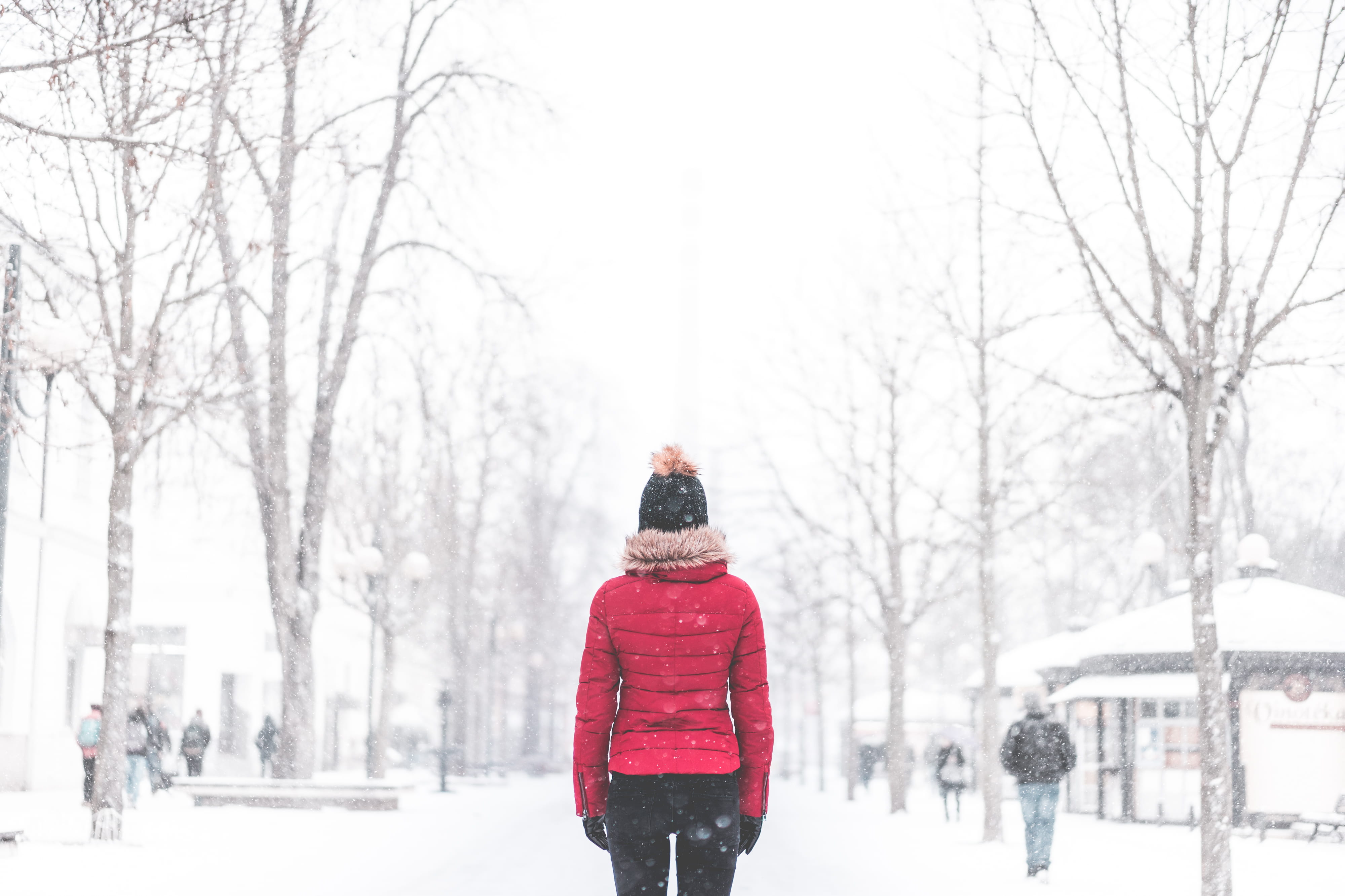 Woman Standing in The Middle of The Park in Snowy Weather, cold