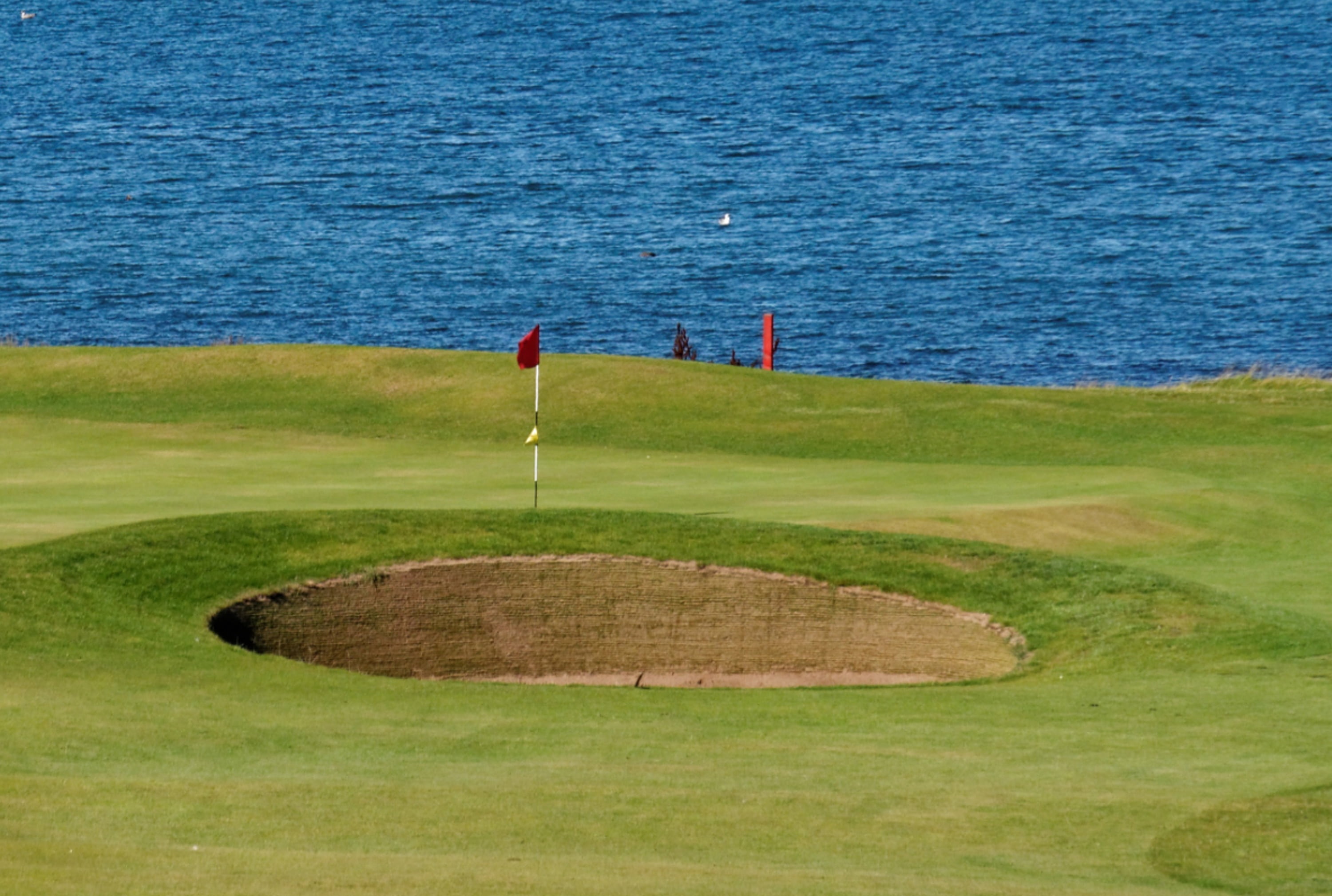 big hole beside ocean during daytime, golf course, sport, green