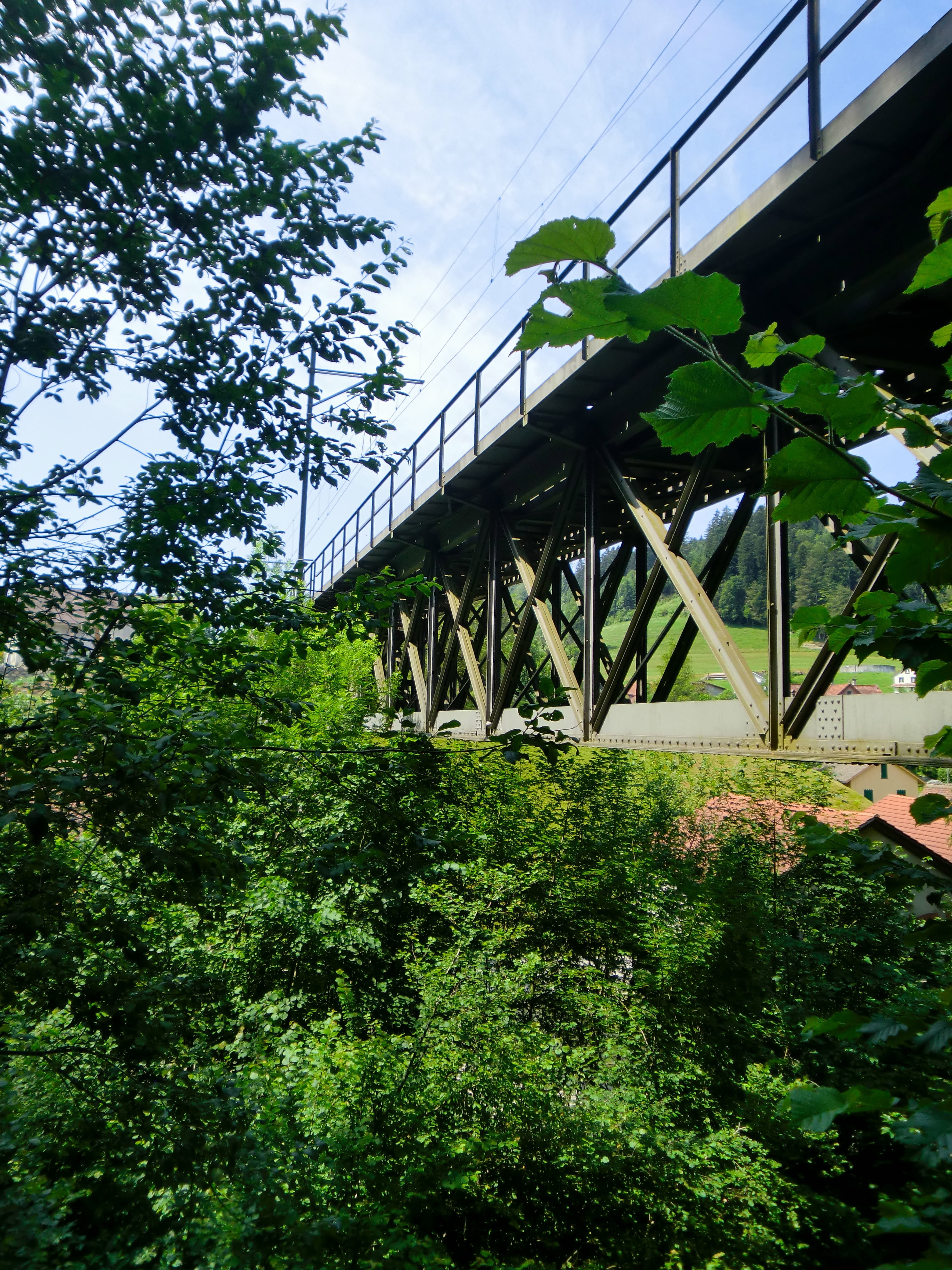 bahnbrücke, bridge, structures, tree, plant, built structure
