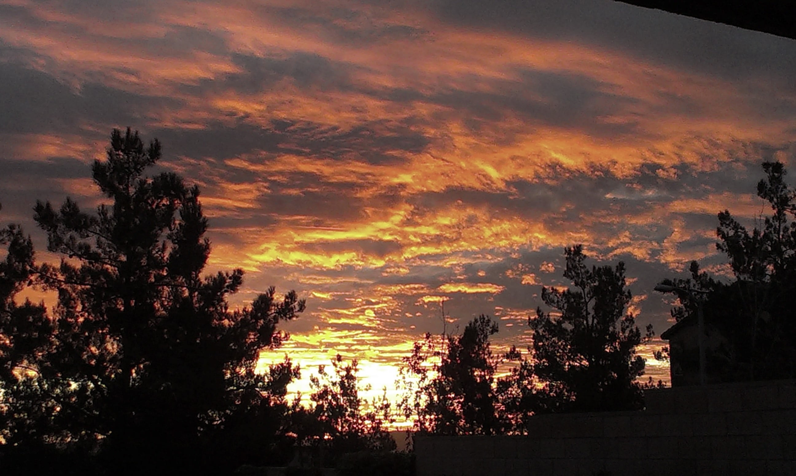 sunset, clouds, sunset background, dramatic, orange sky, forest
