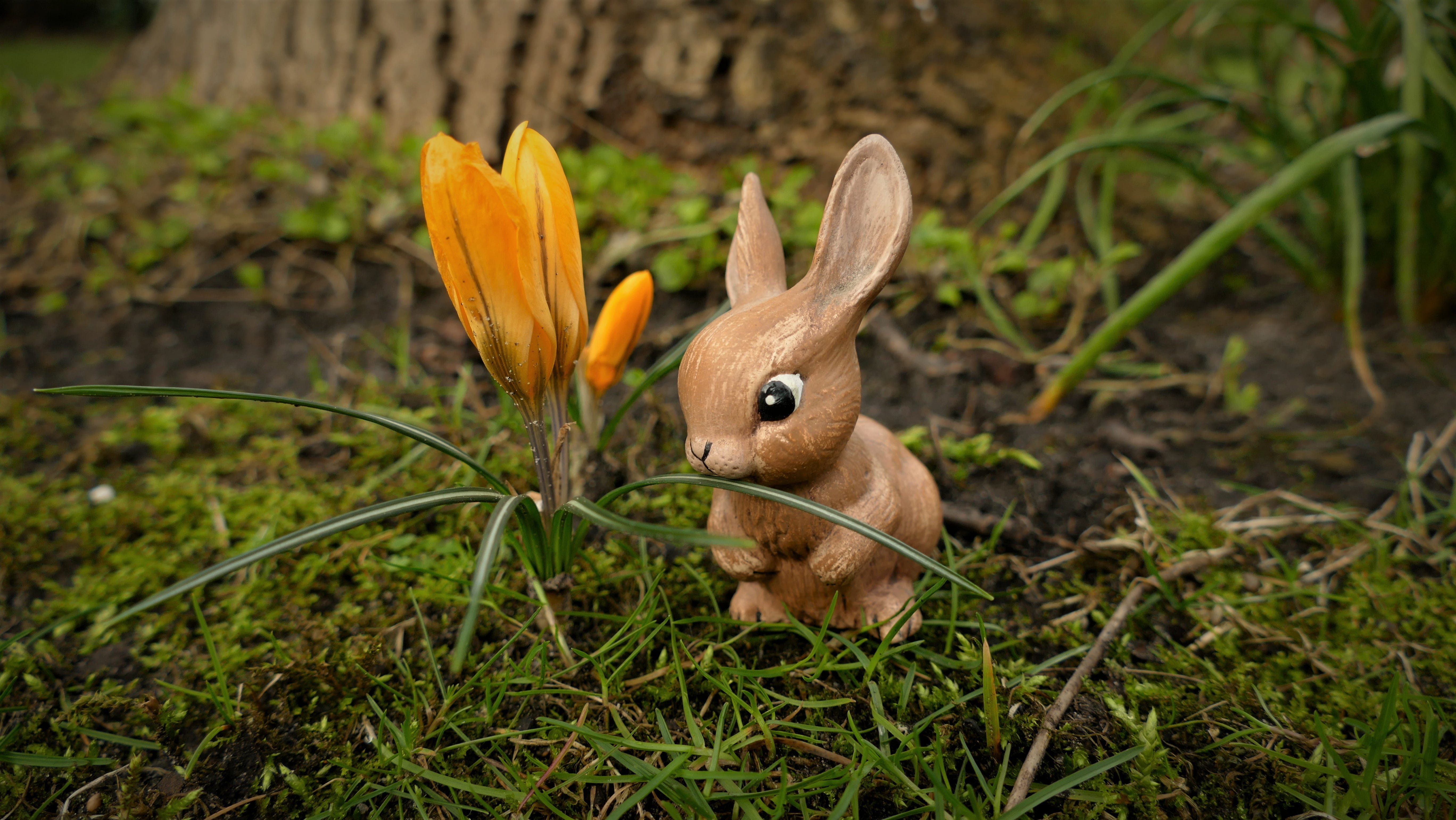 easter, easter bunny, hare, easter figure, easter decoration