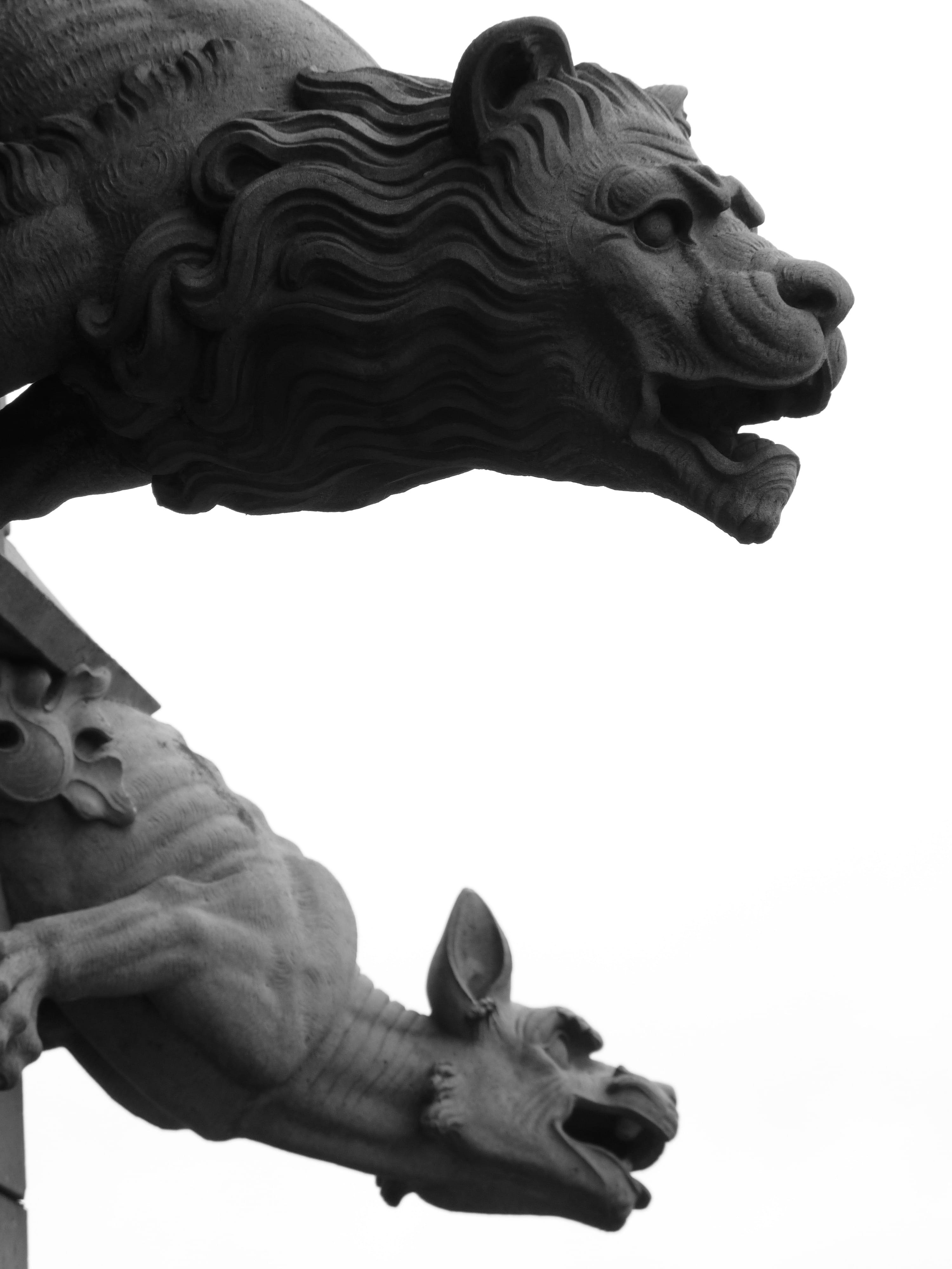 Gargoyle, Dragon, Lion, mythical creatures, water, drainage