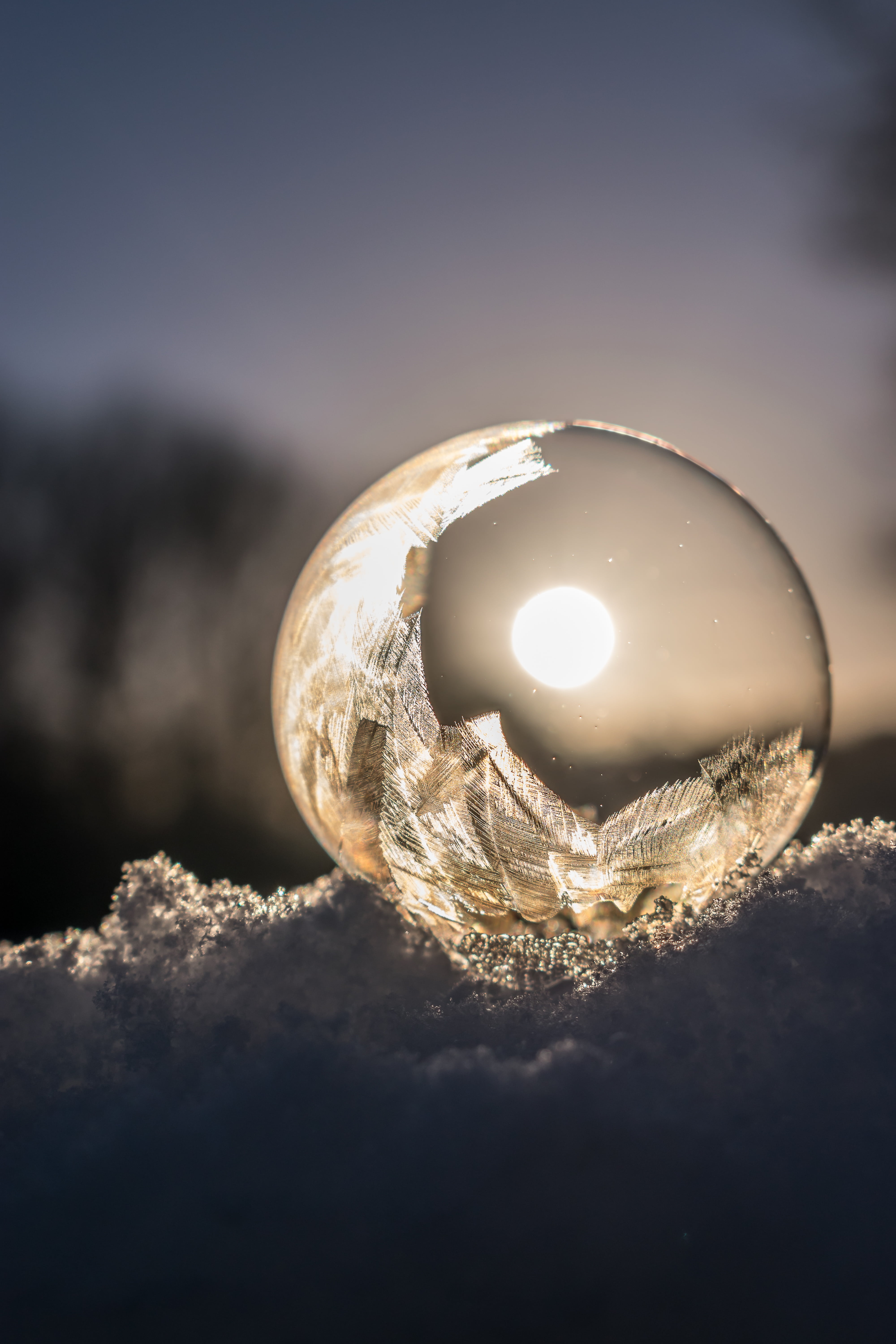clear ball photography of sunrise, soap bubble, frozen, frozen bubble
