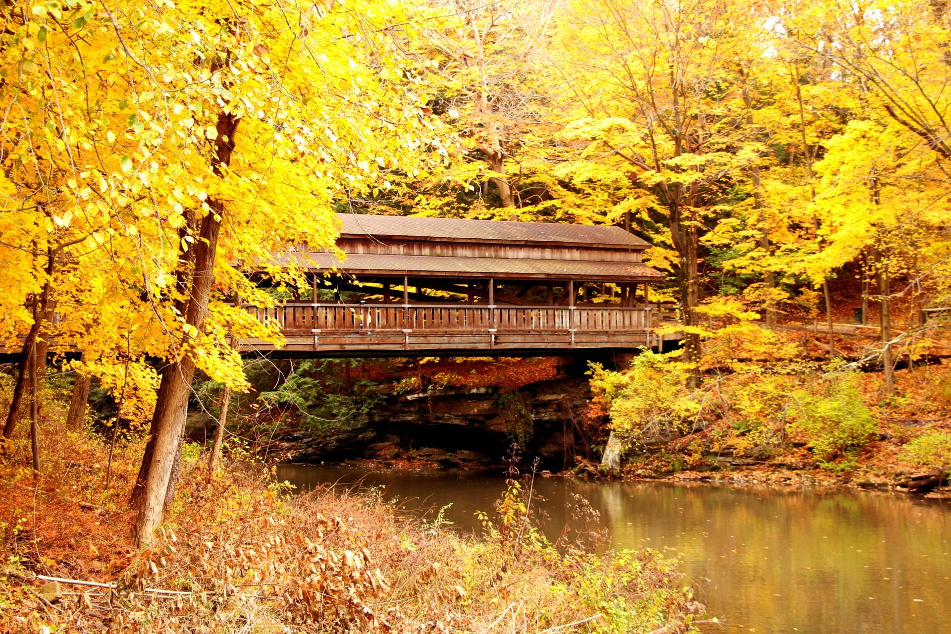 bridge, covered bridge, autumn, fall, leaves, yellow, scenic