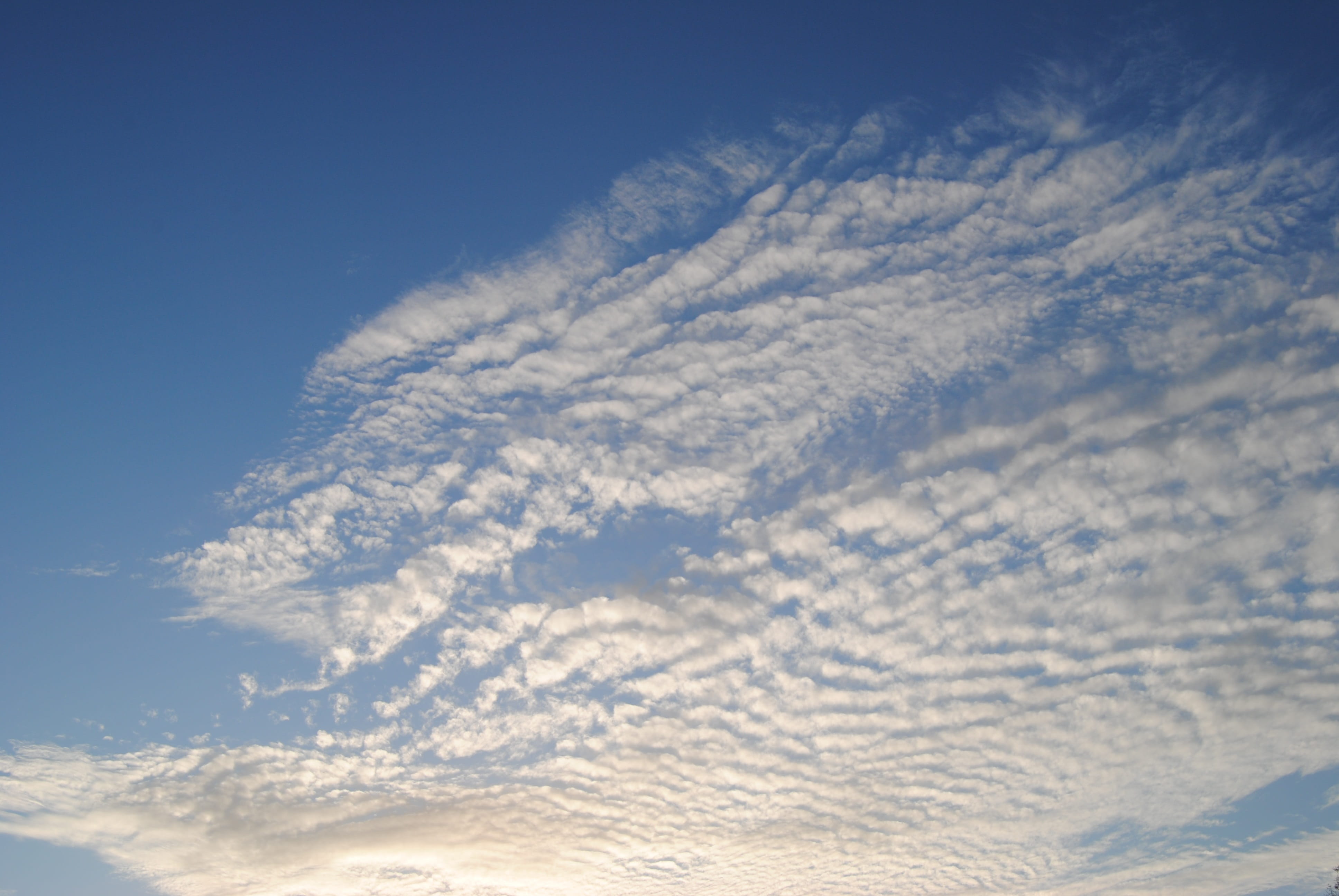 Sky, Clouds, cloudy, blue, cloudy sky, white cloud, nature