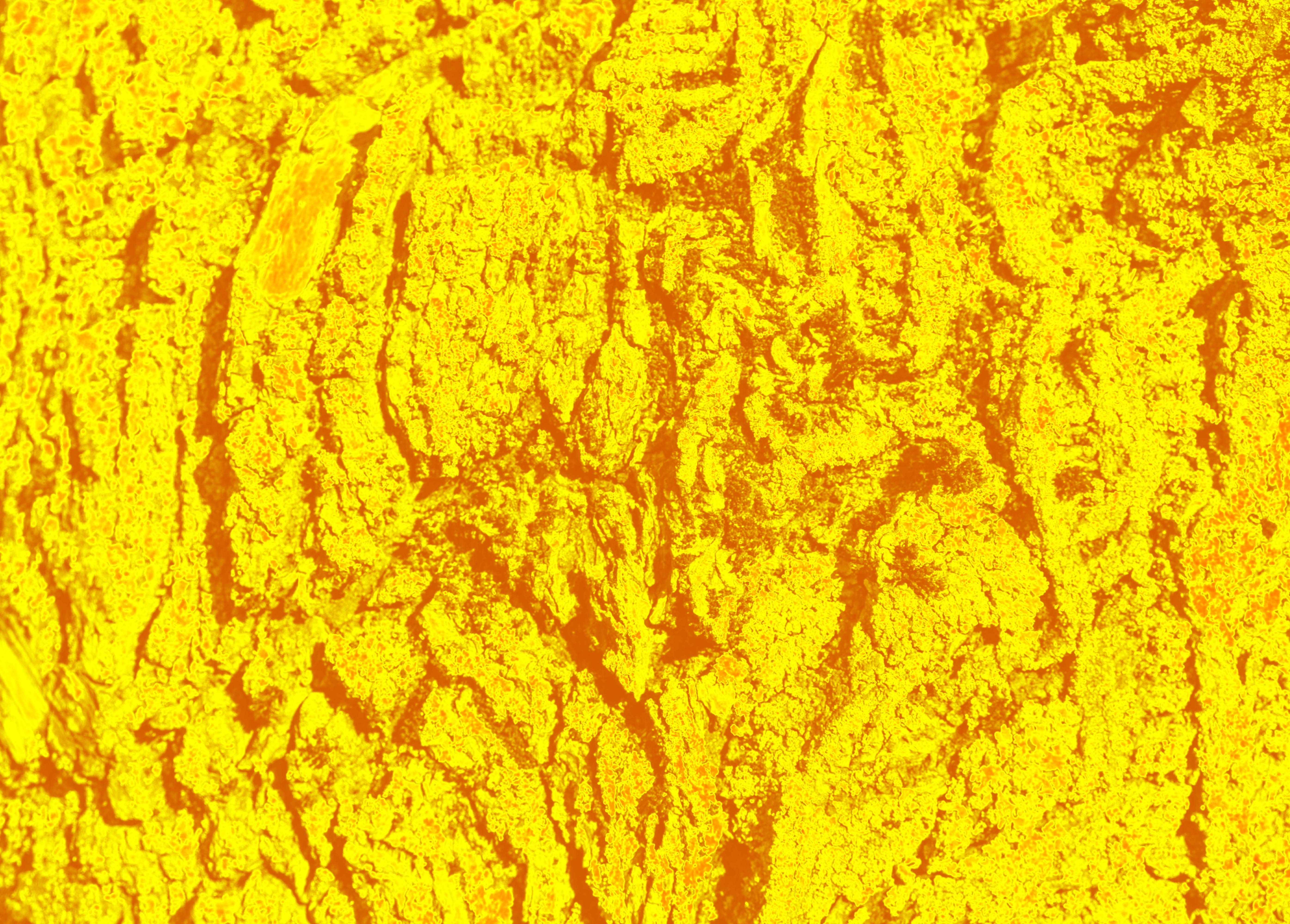 yellow, texture, abstract, design, background, structure, pattern
