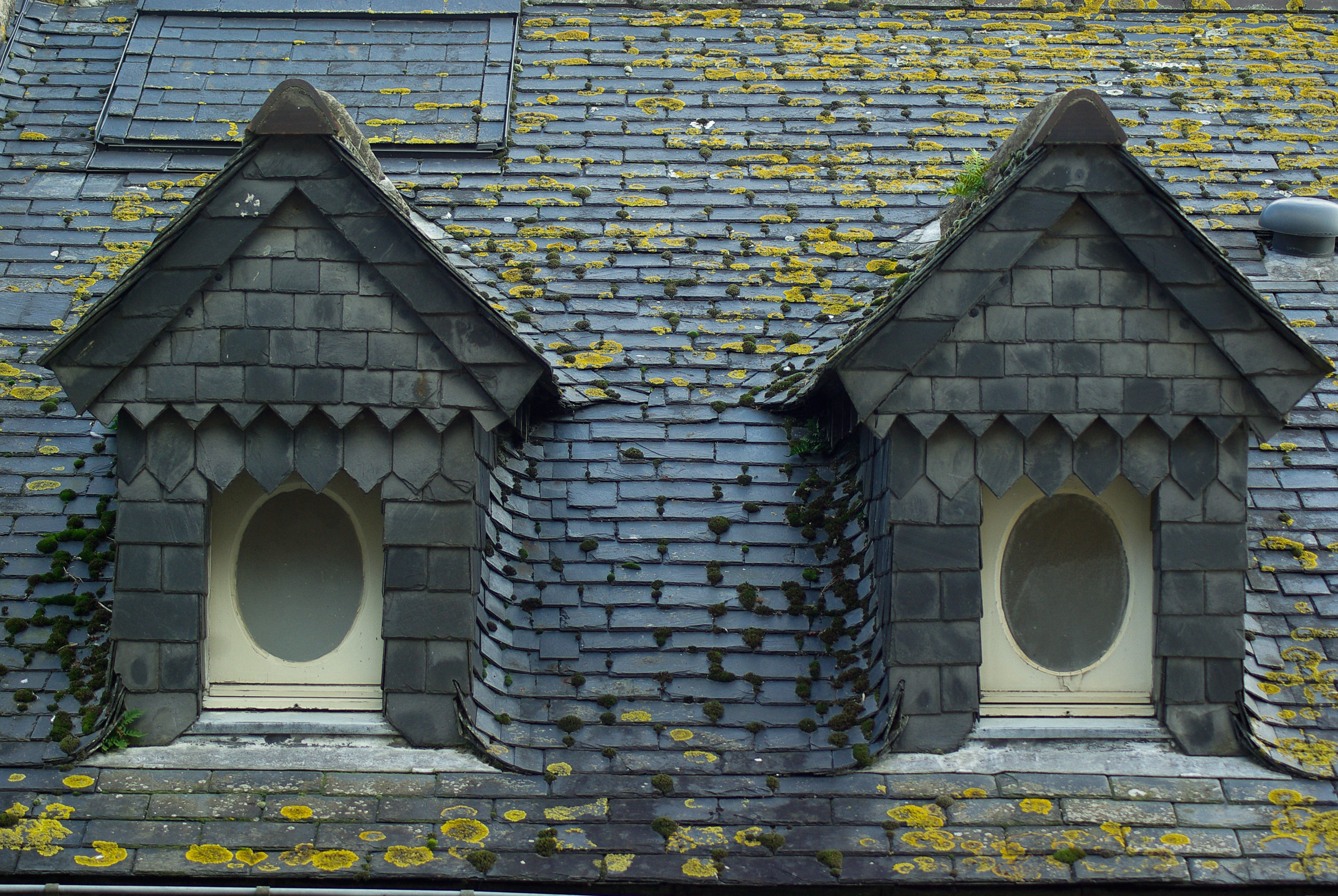 roofing, slate, windows, architecture, brick, built structure