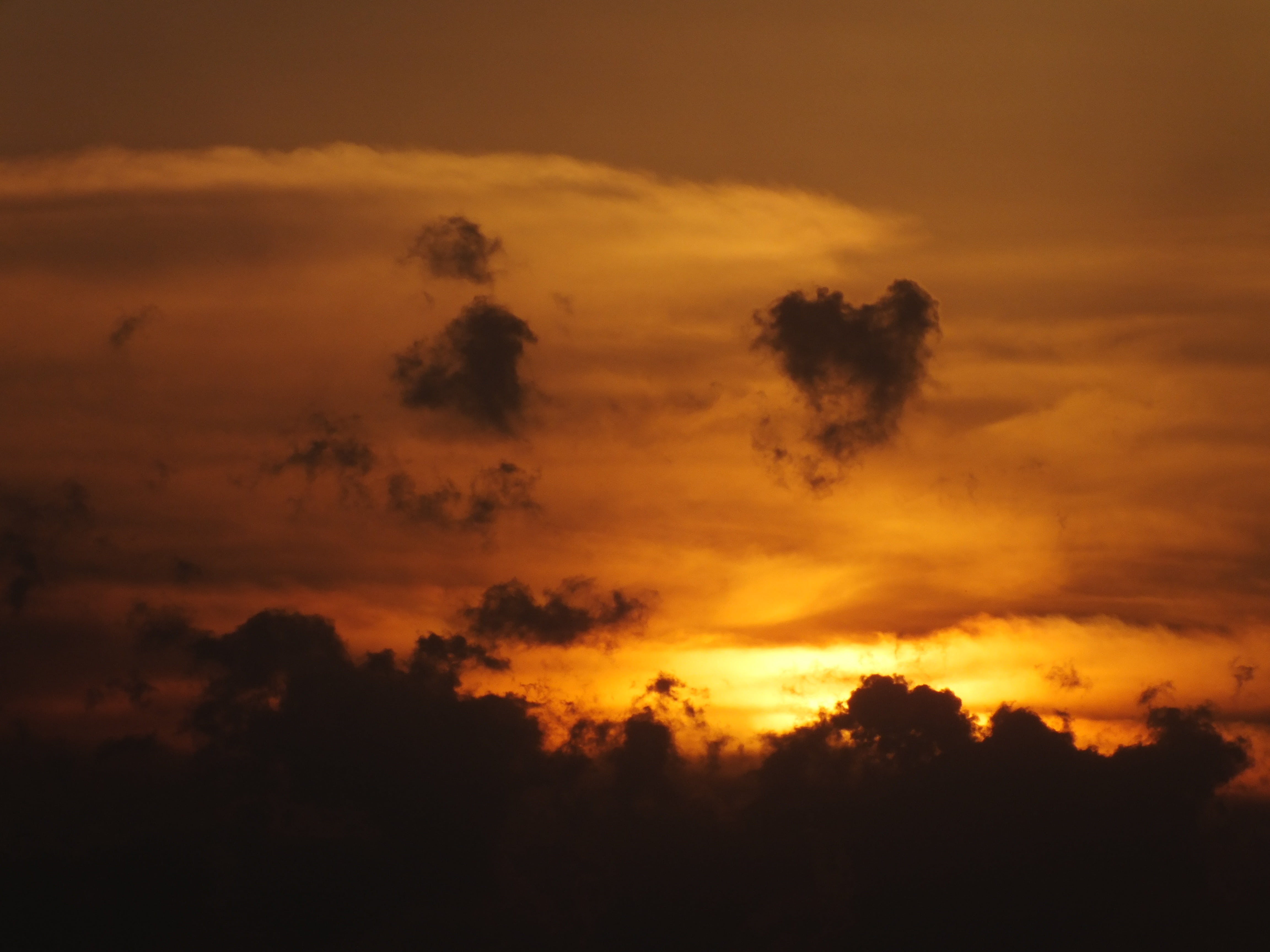 sunset, evening, summer, sky, clouds, orange, light, cloud - sky