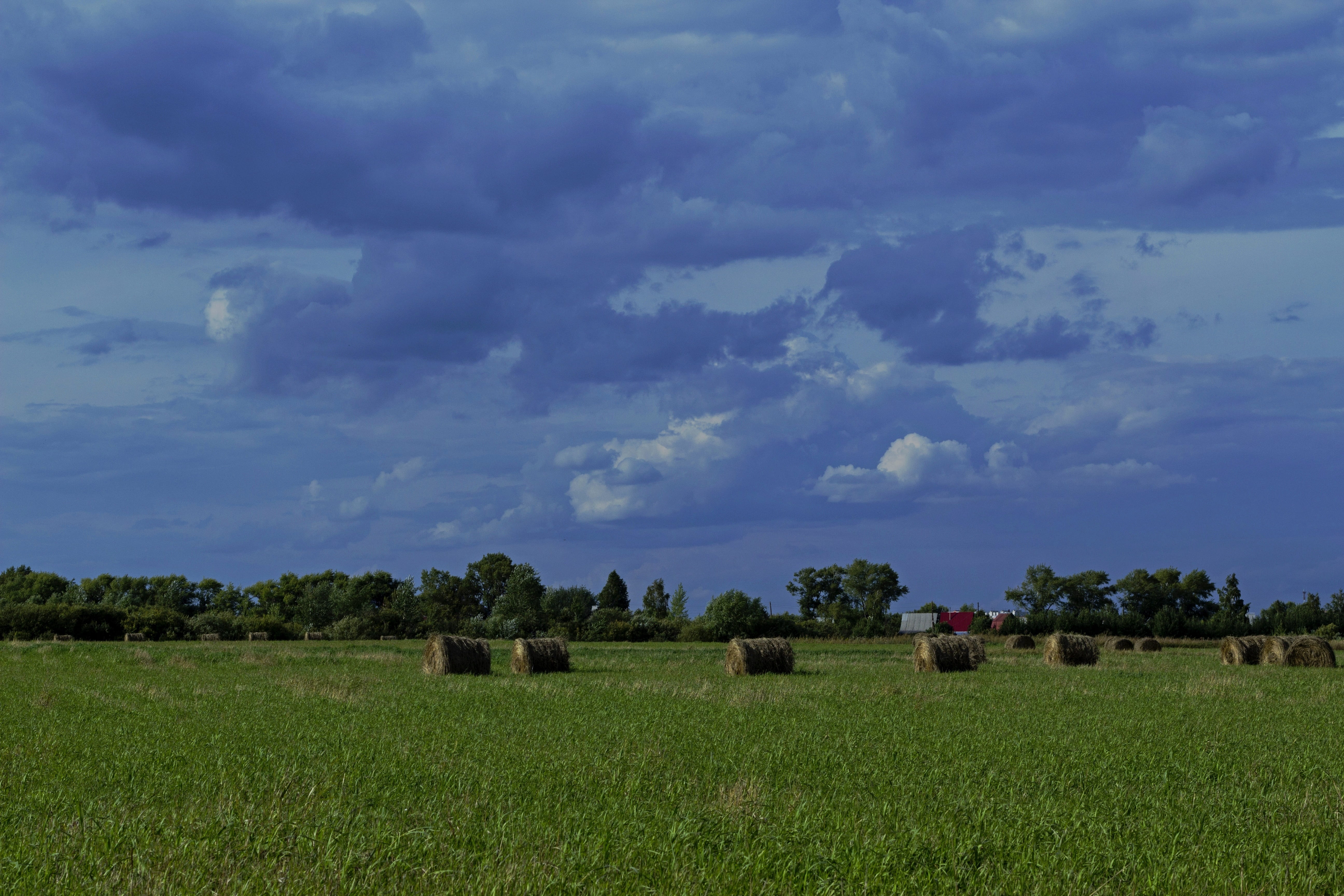 field, hay, clouds, cloud - sky, plant, landscape, environment