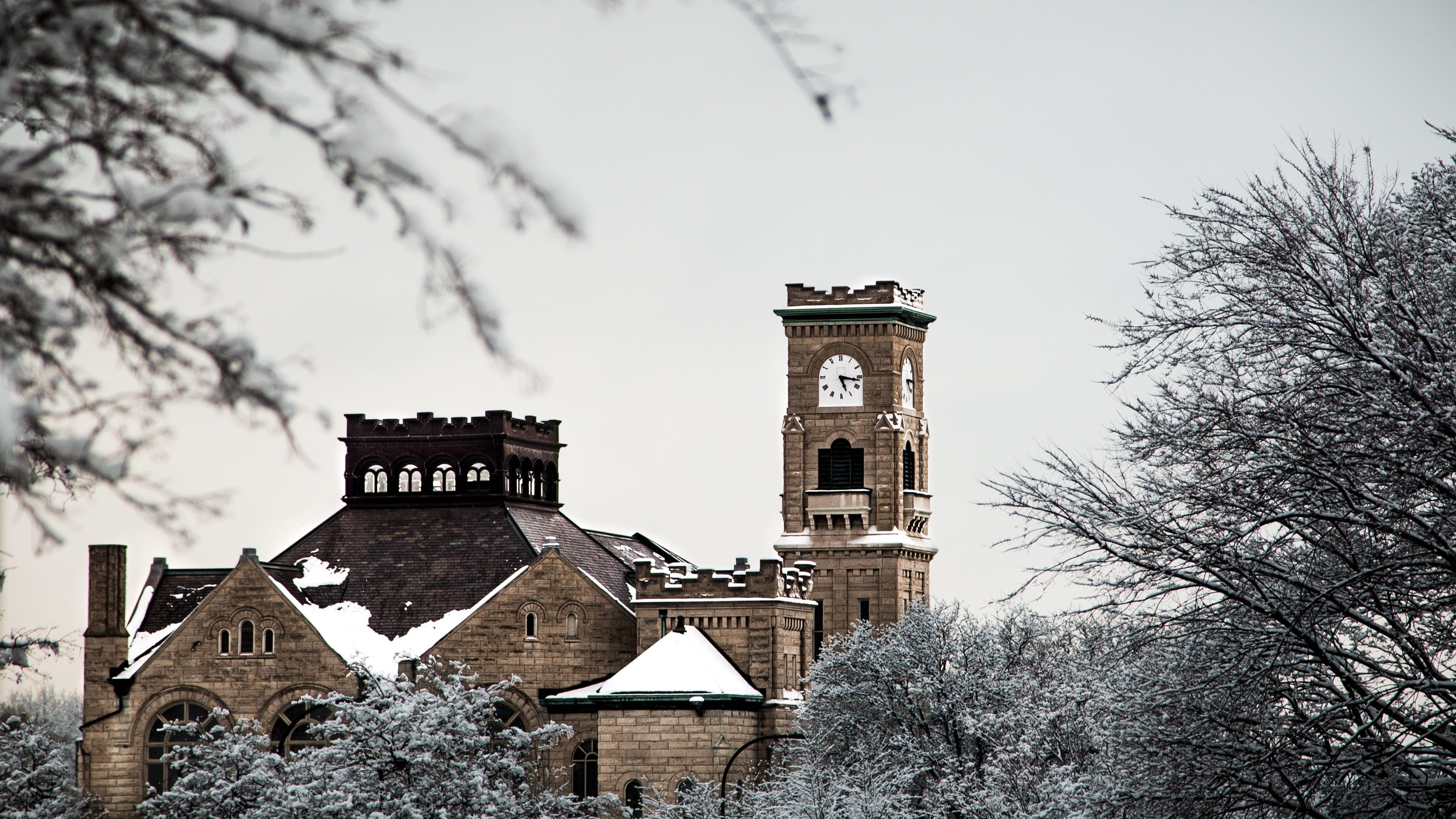 building, structure, architecture, clock, snow, winter, tree